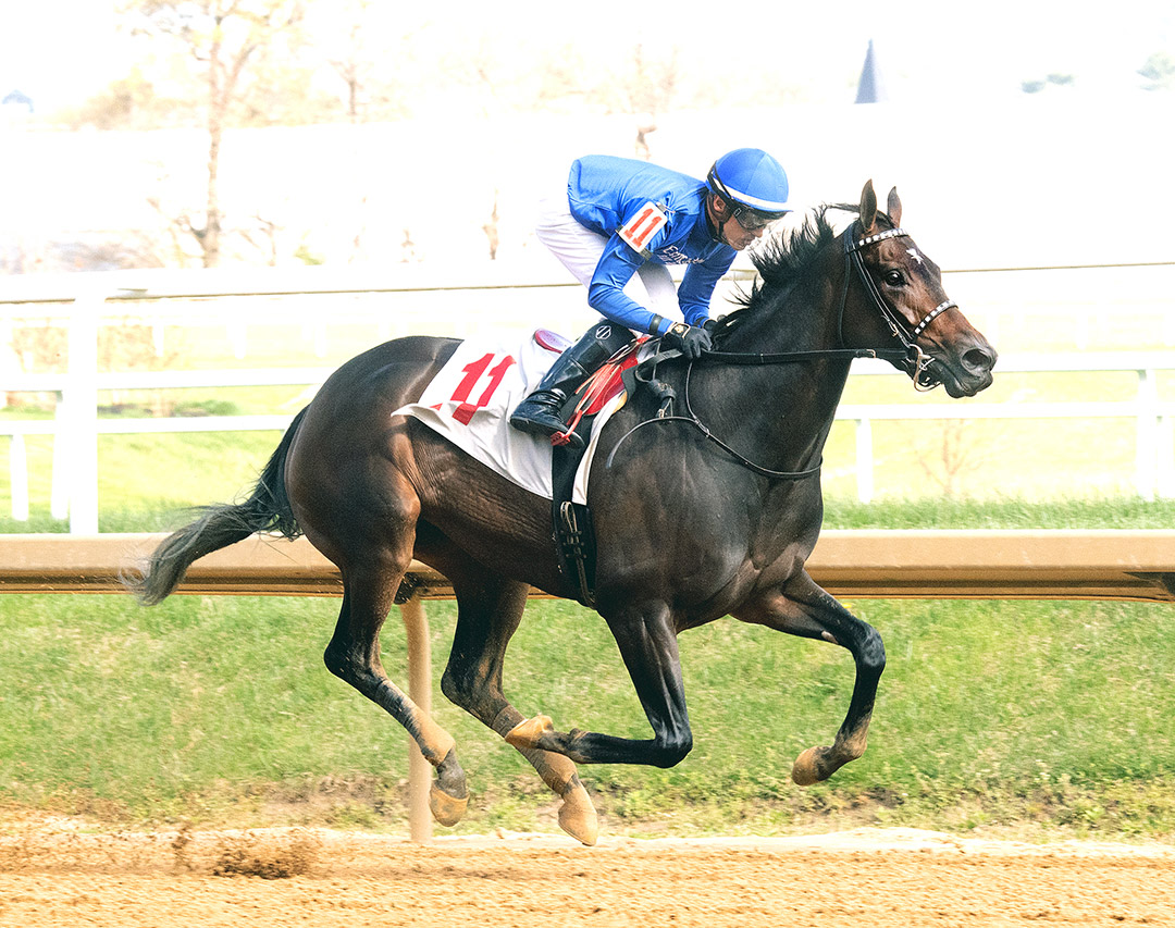 Pennybaker wins the 2022 Heavenly Cause Stakes at Laurel Park
