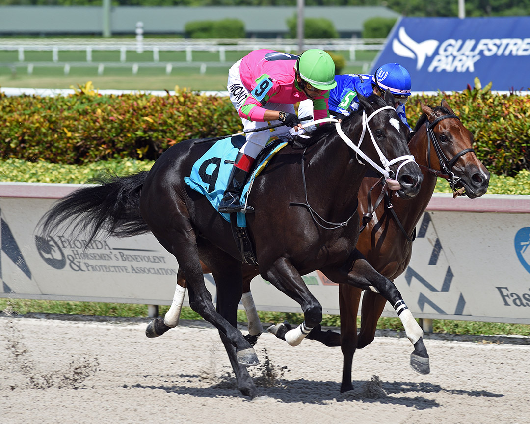 Pens Street (9) wins a Sept. 18 maiden race at Gulfstream Park