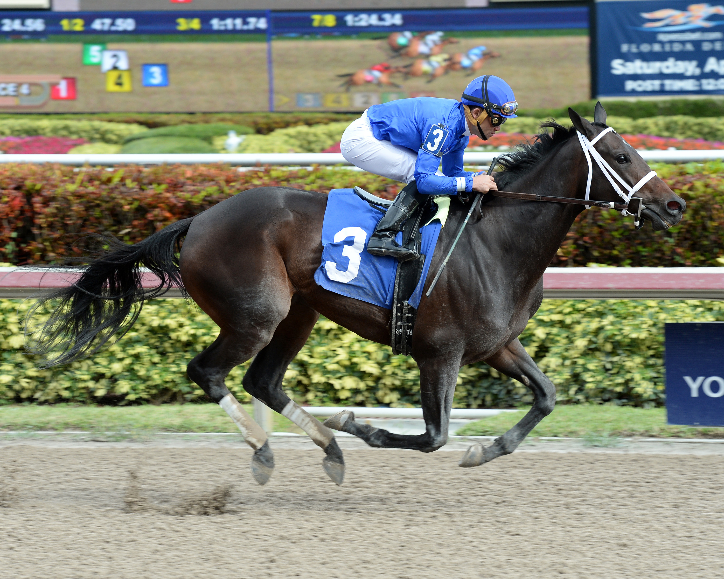 Penwith wins an optional claiming race on Jan. 21