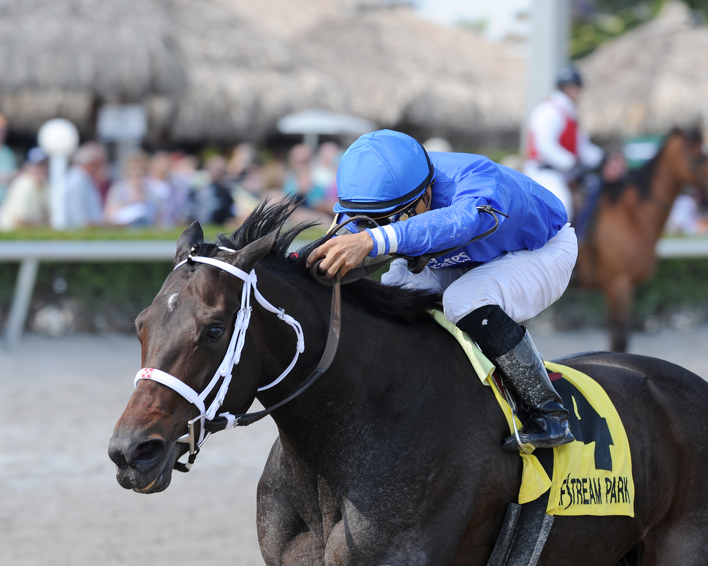 Penwith wins the Royal Delta Stakes