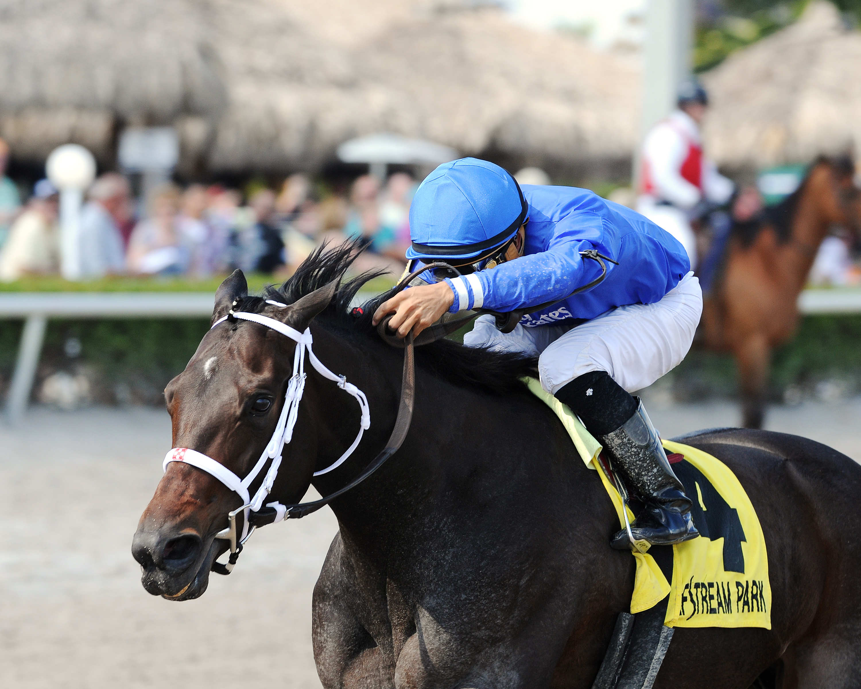 Penwith wins the Royal Delta Stakes
