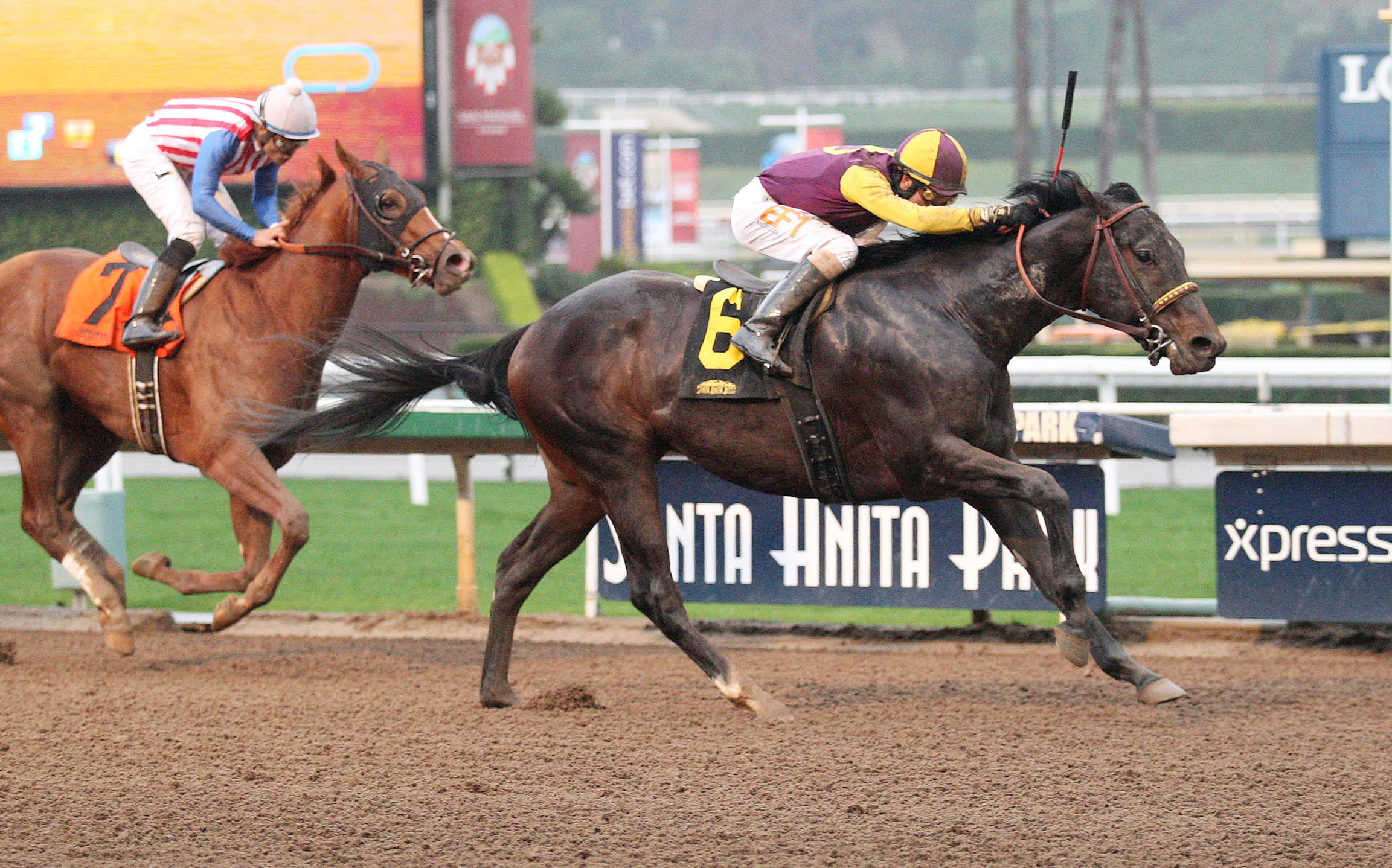 Pepe Tono wins a Jan. 19 maiden race