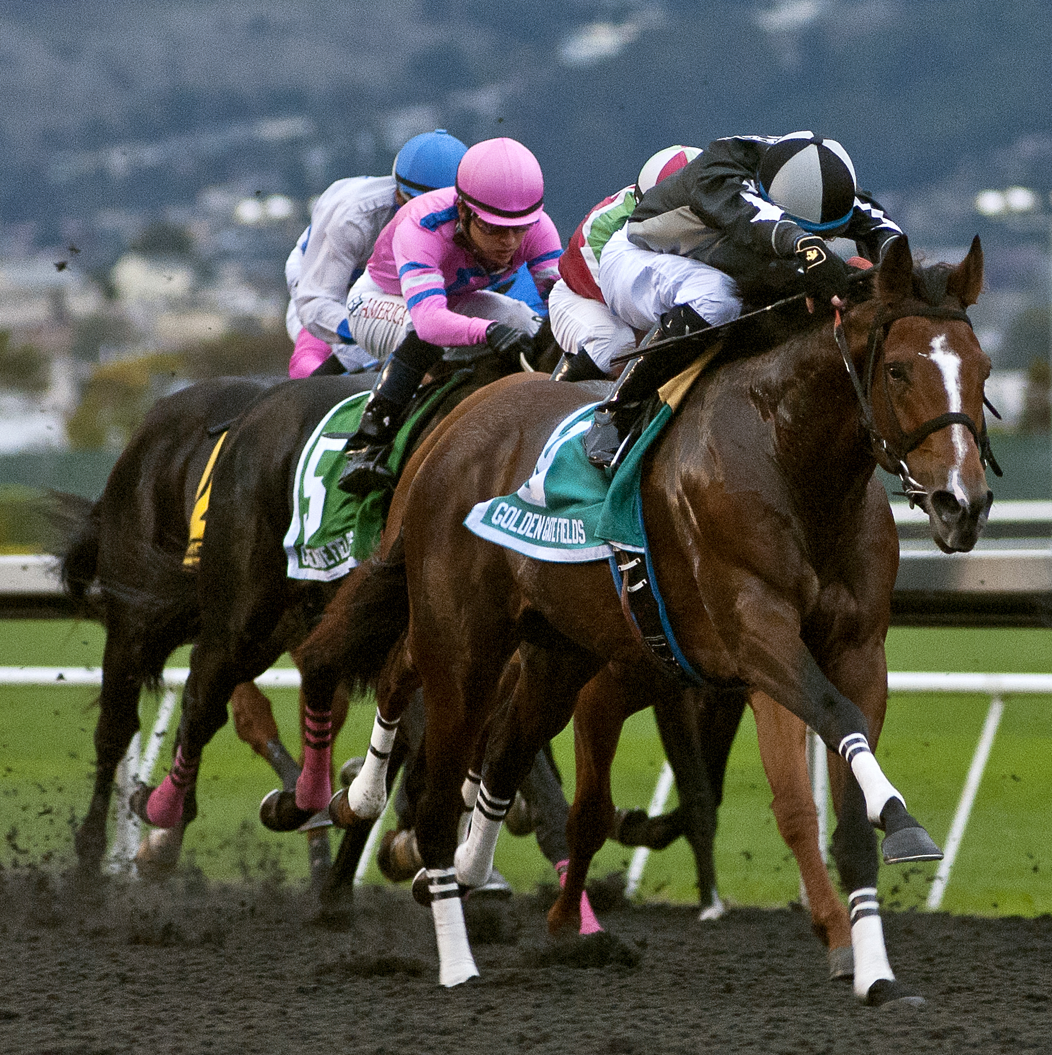 Pepper Crown wins the Berkeley Handicap