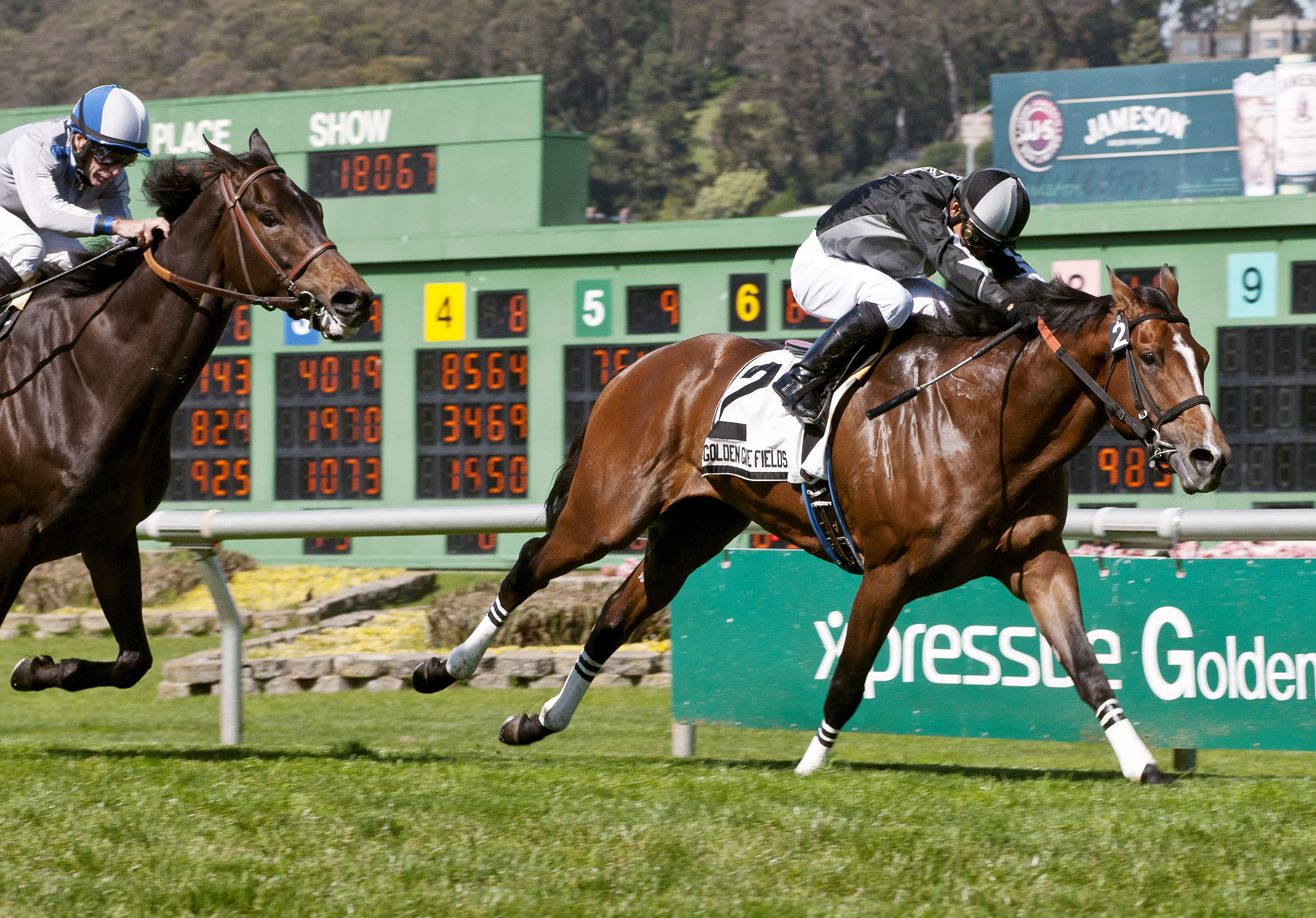 Pepper Crown wins the 2014 San Francisco Mile