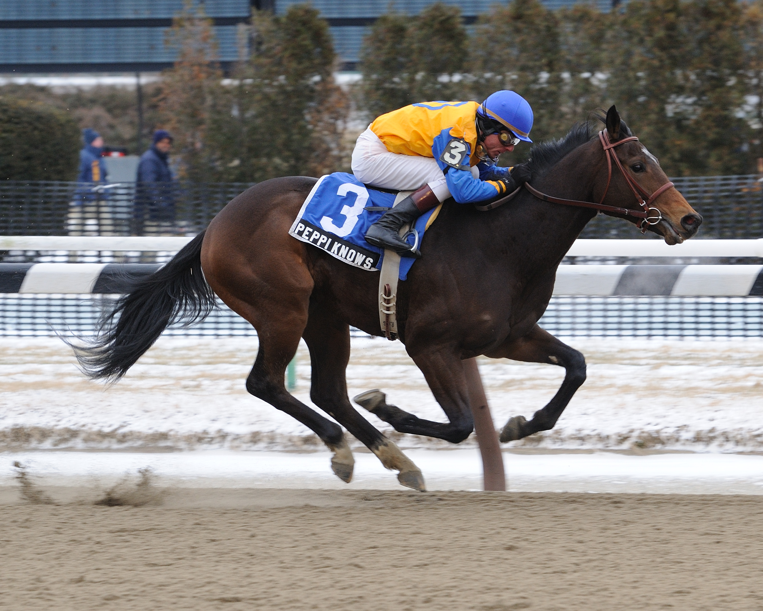 Peppi Knows/Whirlaway