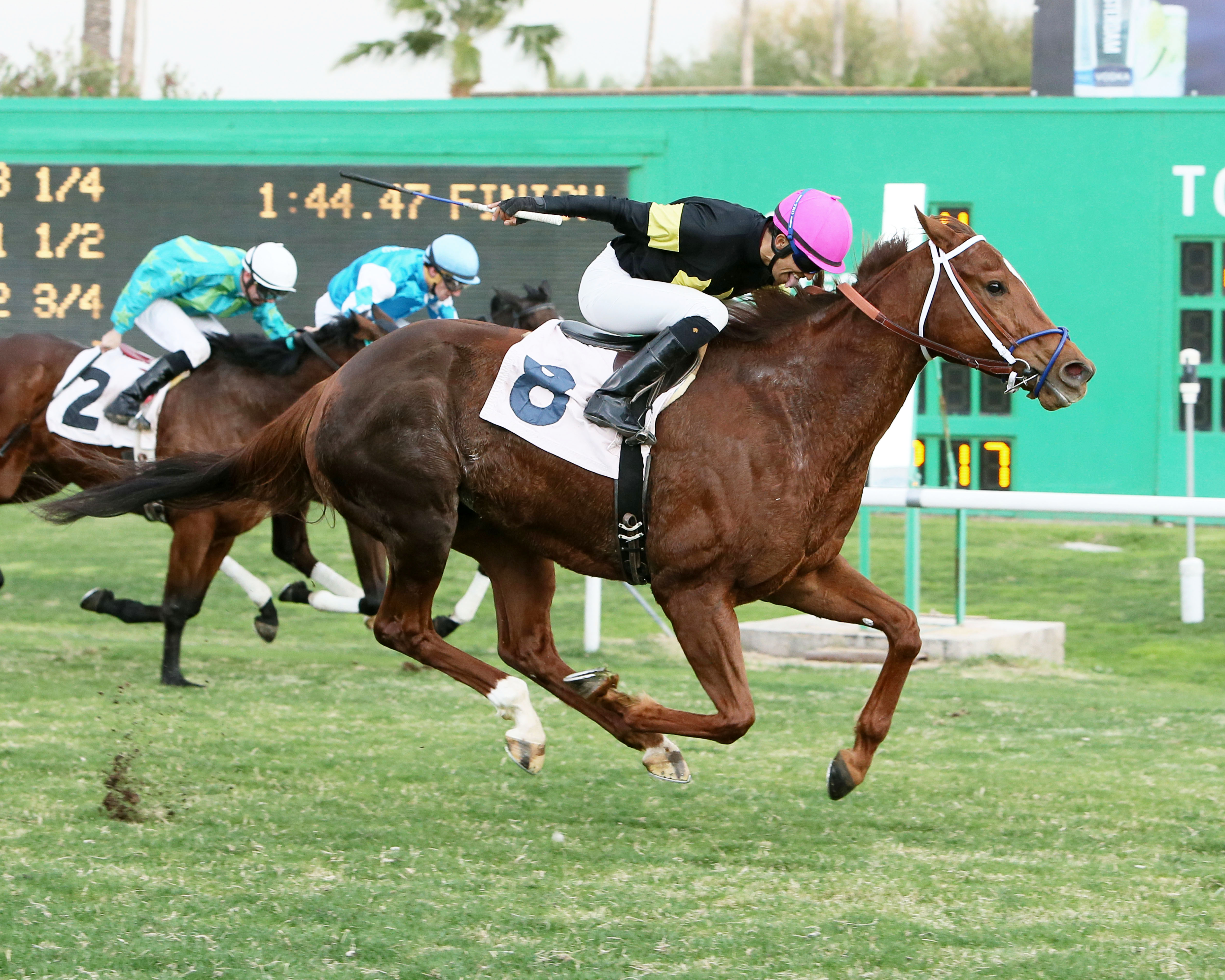 Peppy Miller wins the Glendale