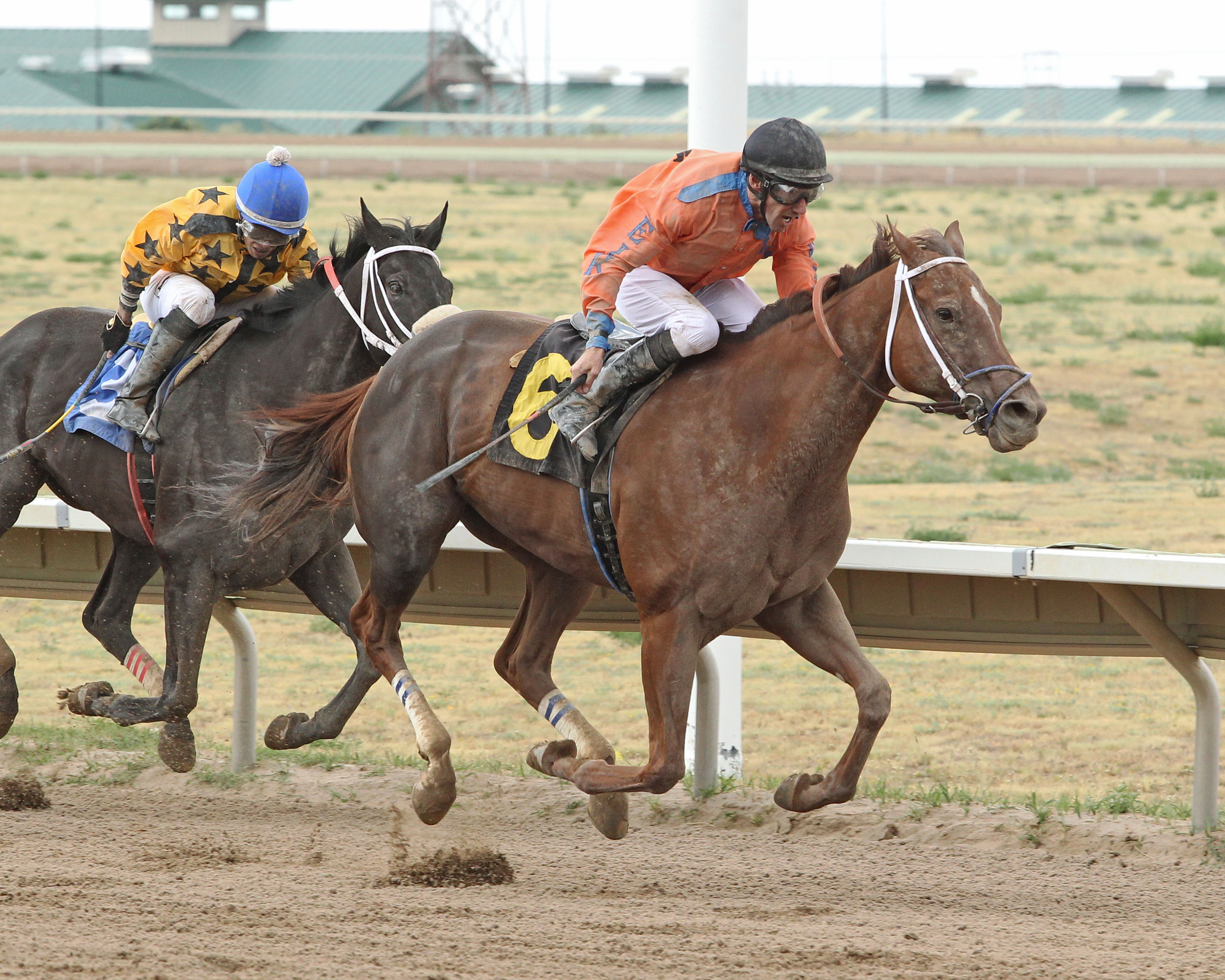 Peppy Miller wins the Columbine Stakes at Arapahoe Park 7.23.17_CO