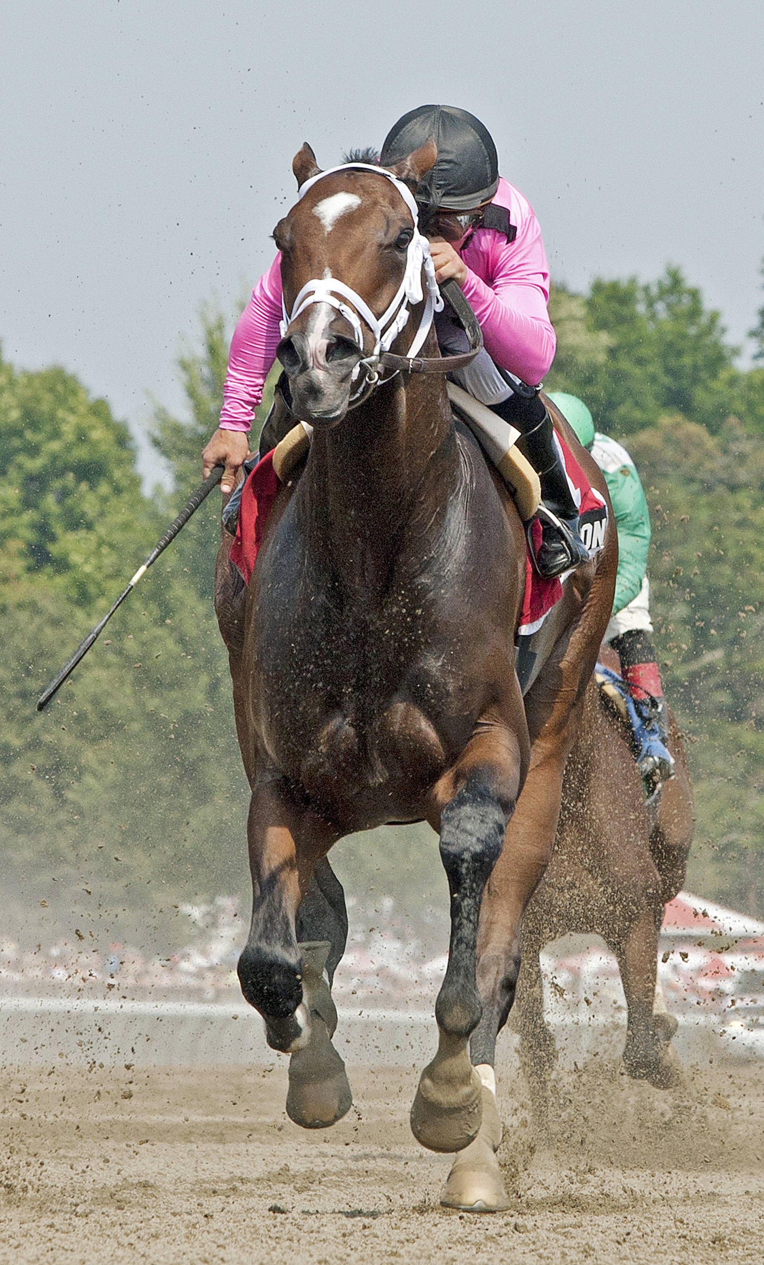 Percussion finishes third in the 2013 Alydar