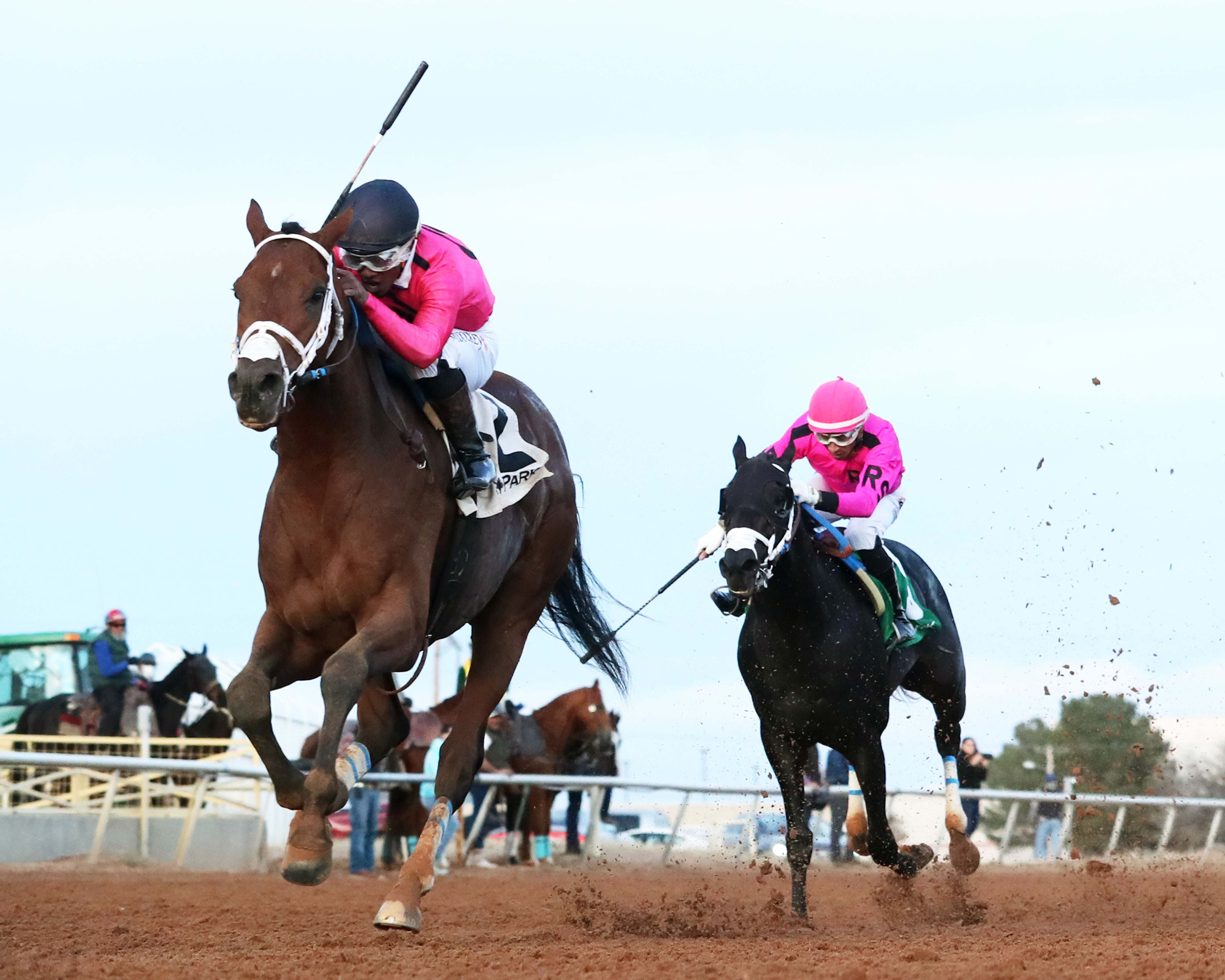 Perfect Flight leads stablemate Apprehend home in the Zia Derby Nov 22 2022