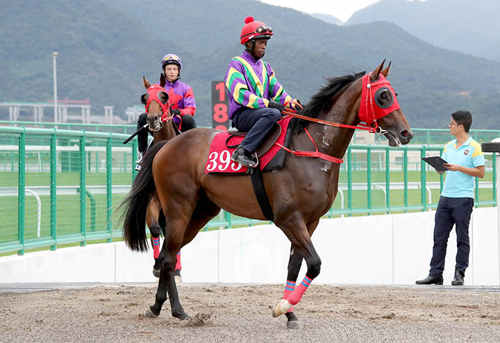 Perfect Match at Conghua Training Centre in August 2018