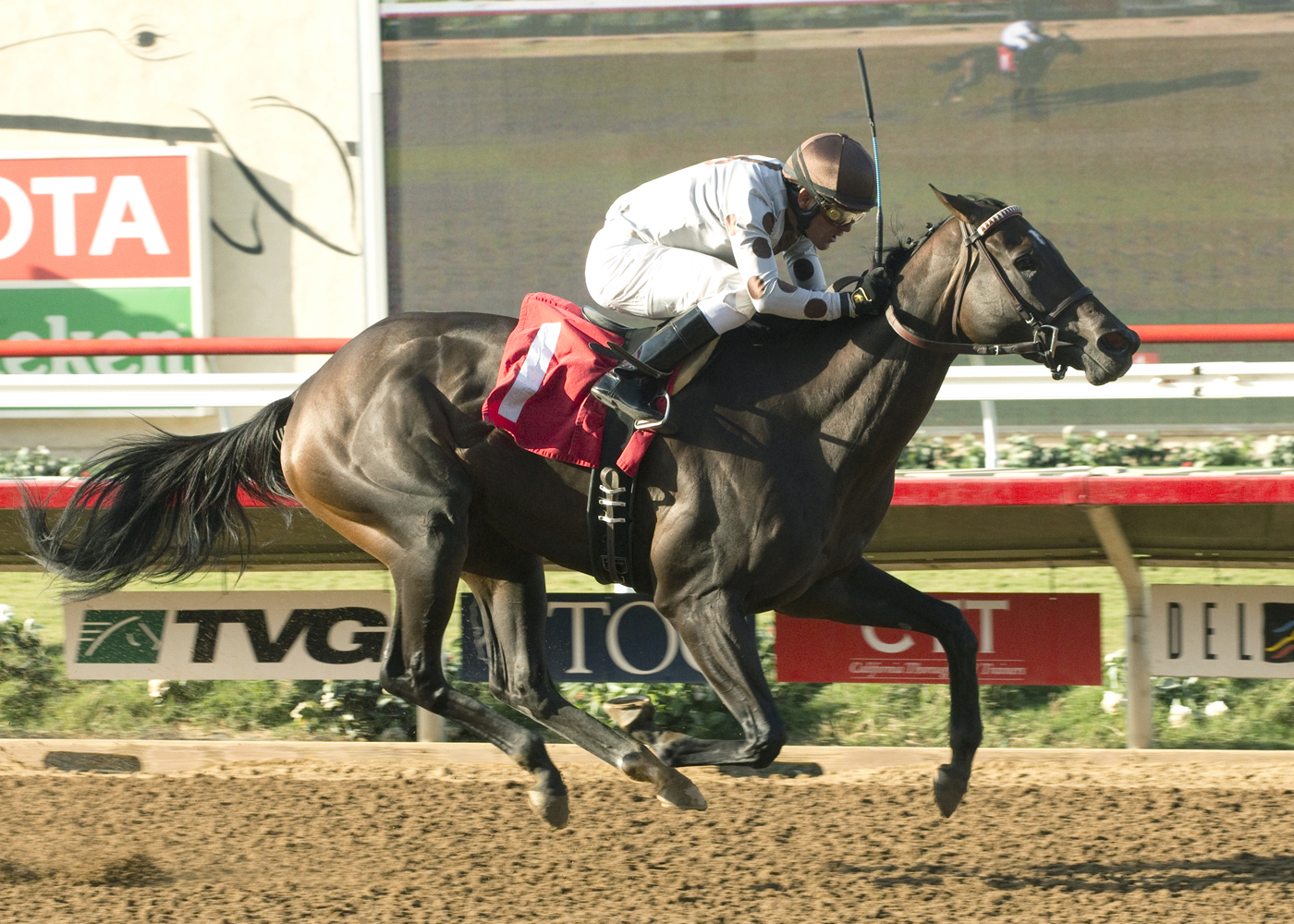Perfect Pic wins a maiden race