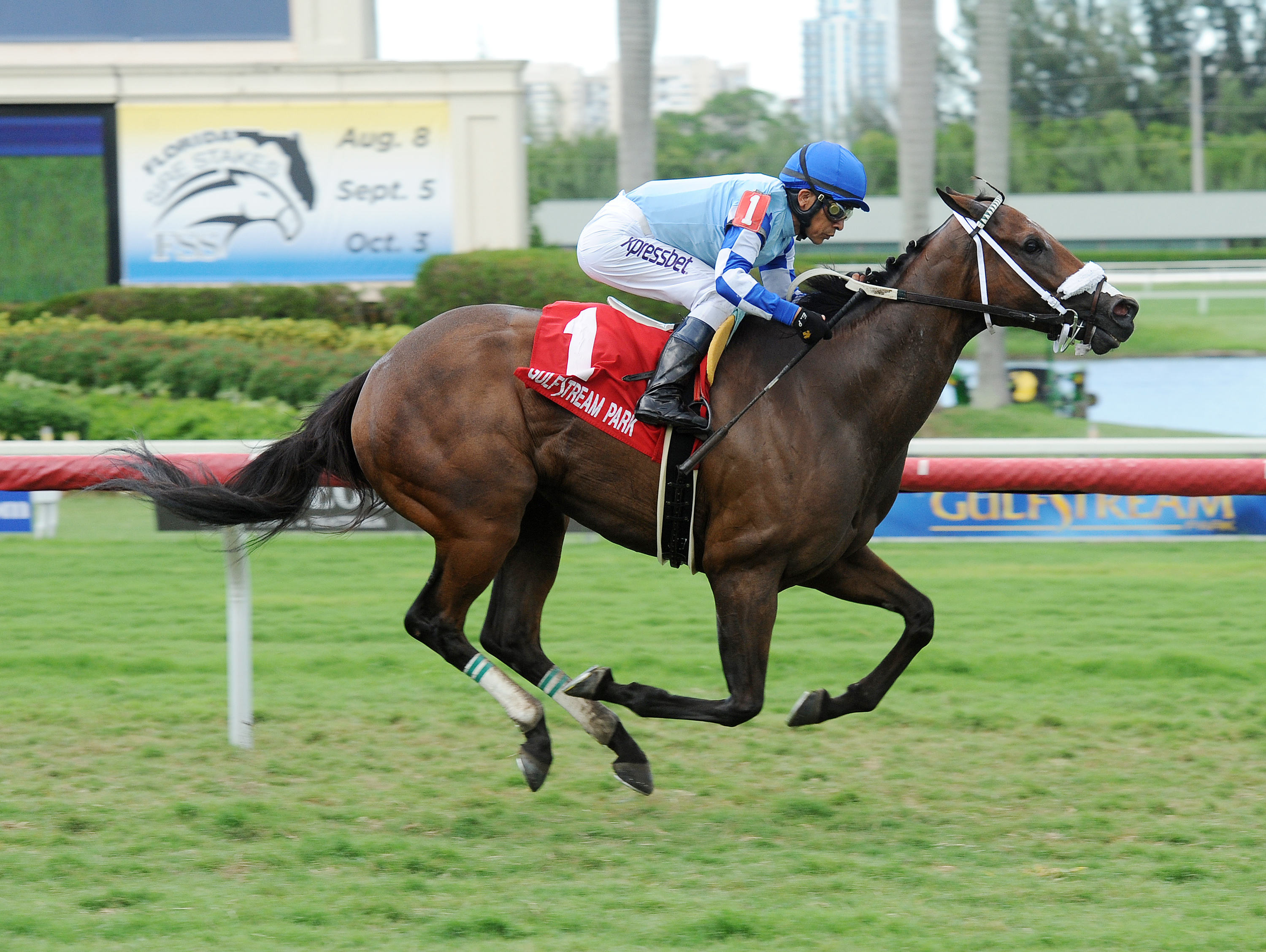 Perfect Step wins the Hard Worker Stakes