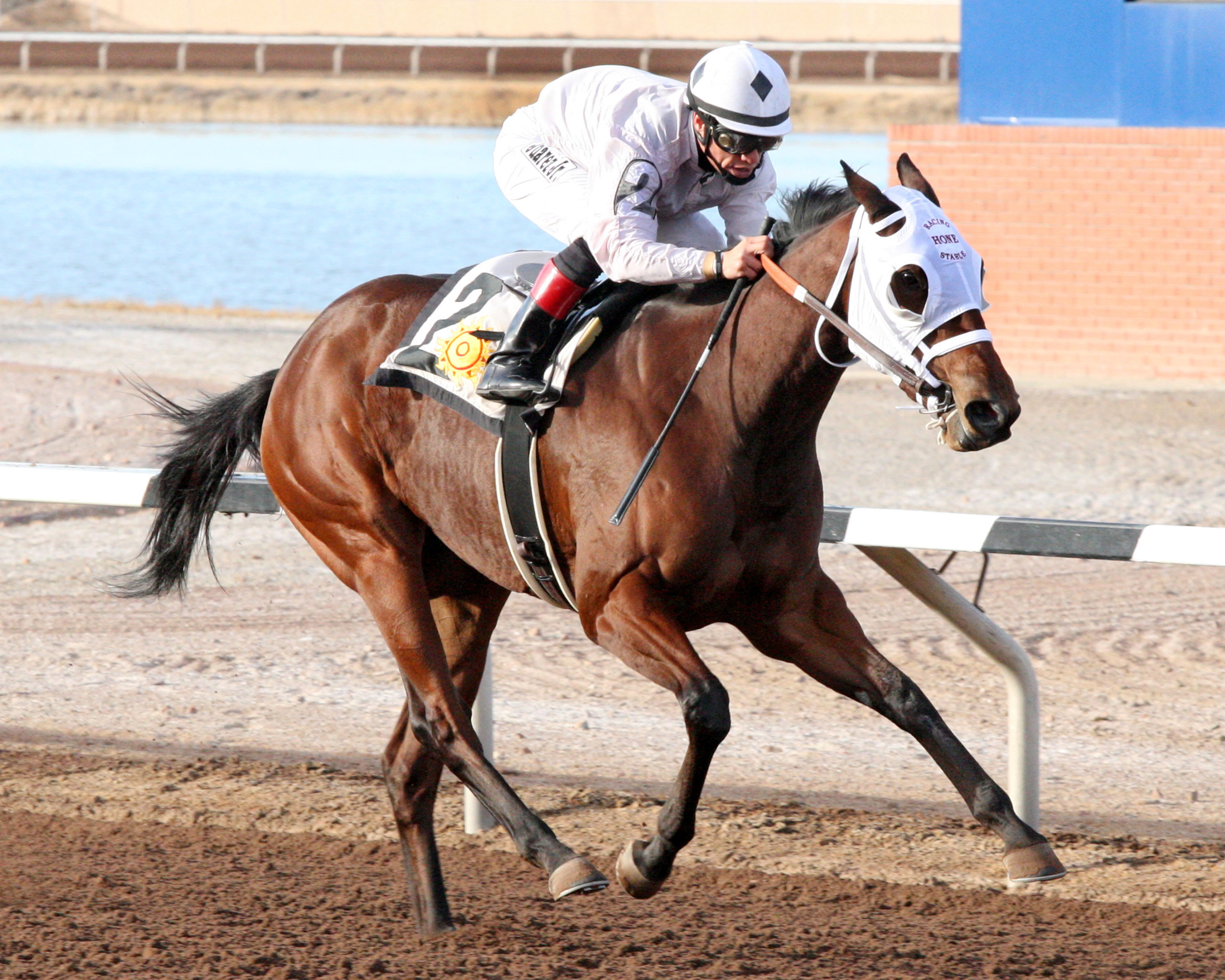Perfect Style wins the El Paso Times Stakes