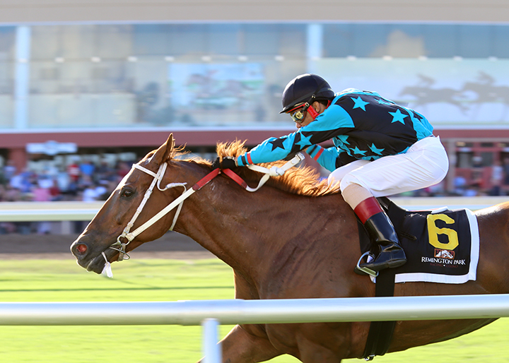 Perfect to Please wins the 2018 Red Earth Stakes