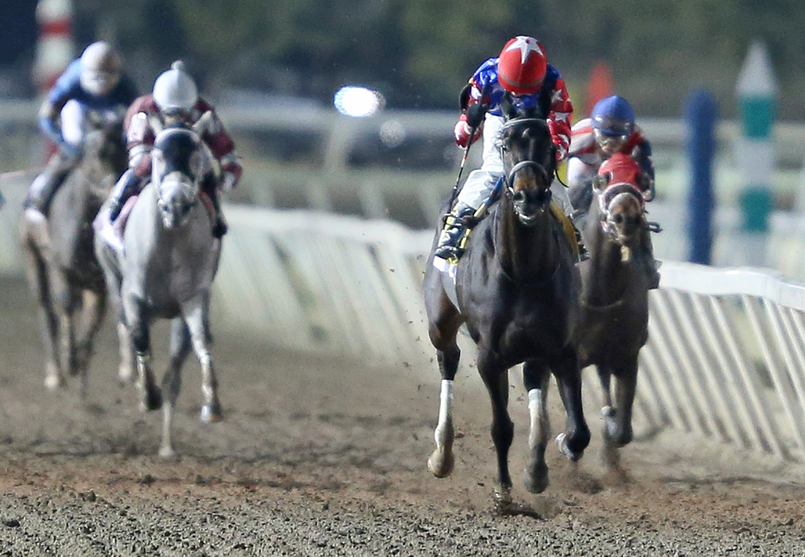 Perfect Wife wins the Trapeze Stakes