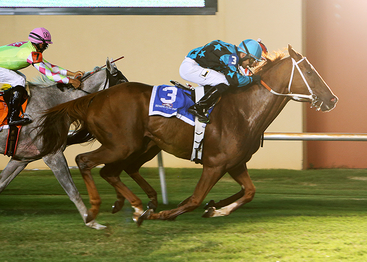 Perfect to Please wins the Remington Turf Sprint at Remington Park