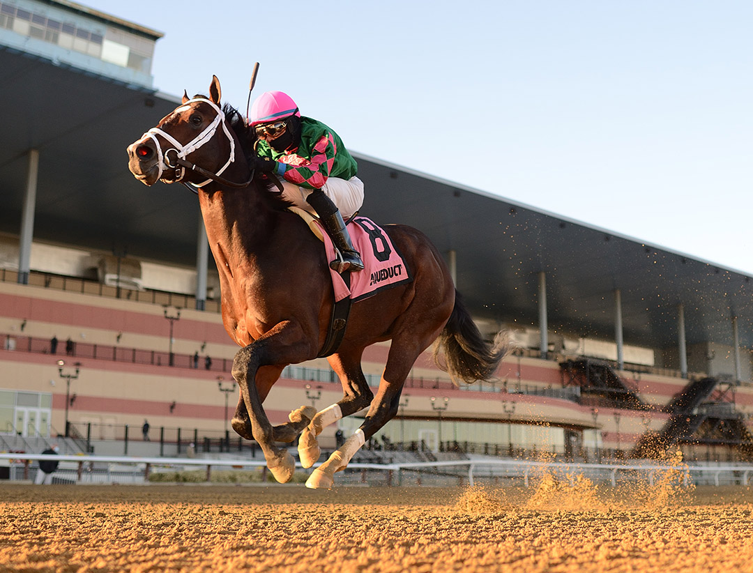 Perfect Munnings wins the 2021 Rego Park Stakes at Aqueduct