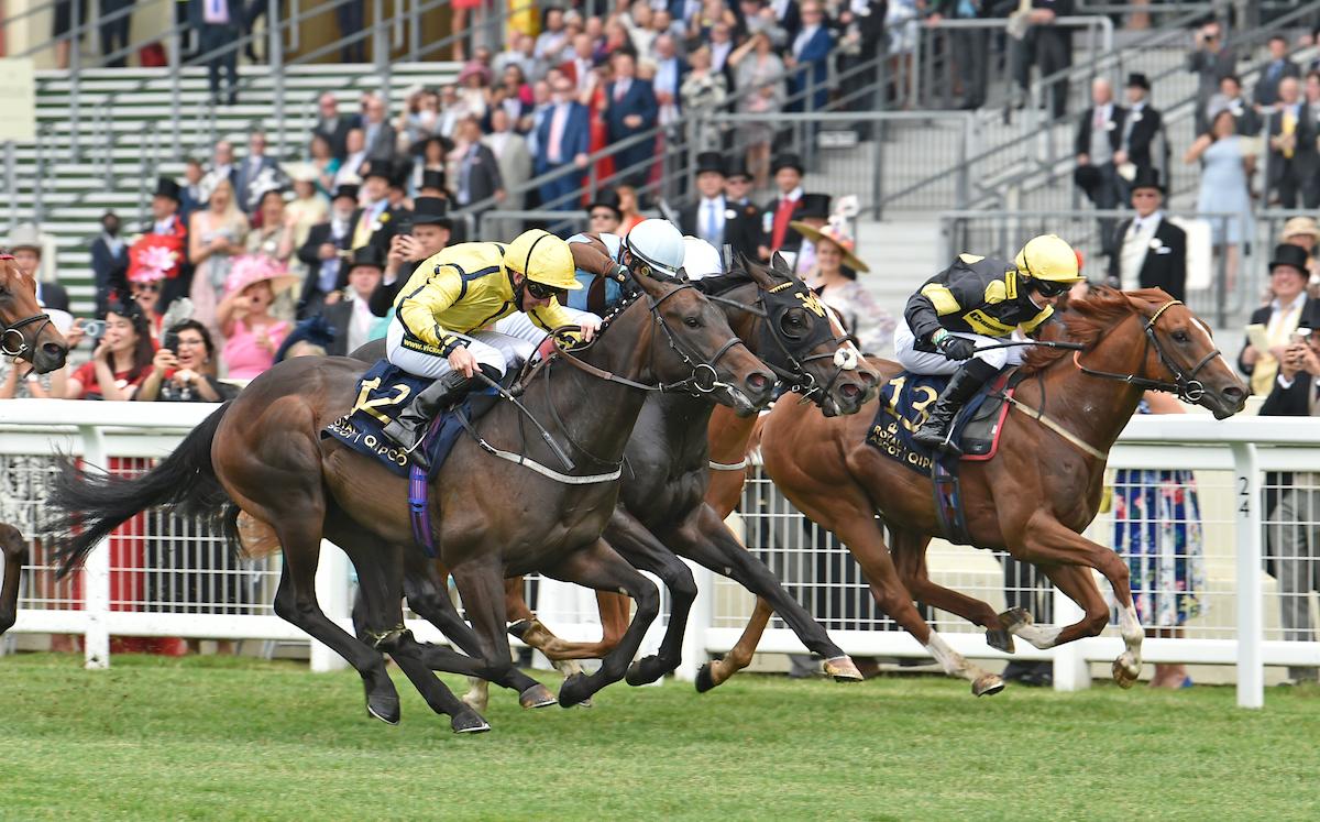 Perfect Power - Norfolk S. 2021 - Royal Ascot