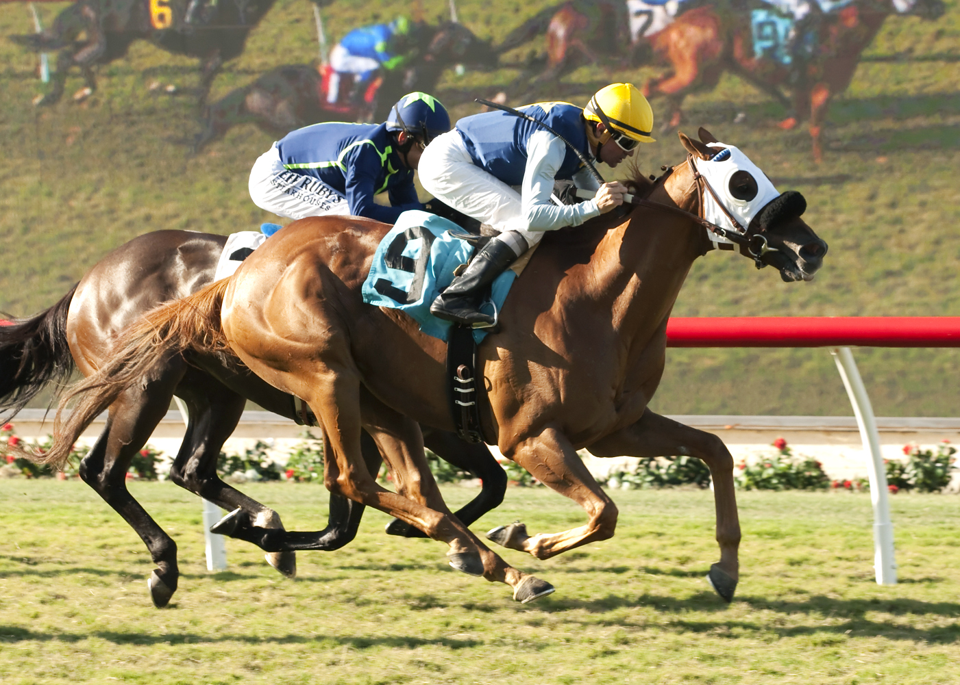 Perfectly Majestic wins an allowance race