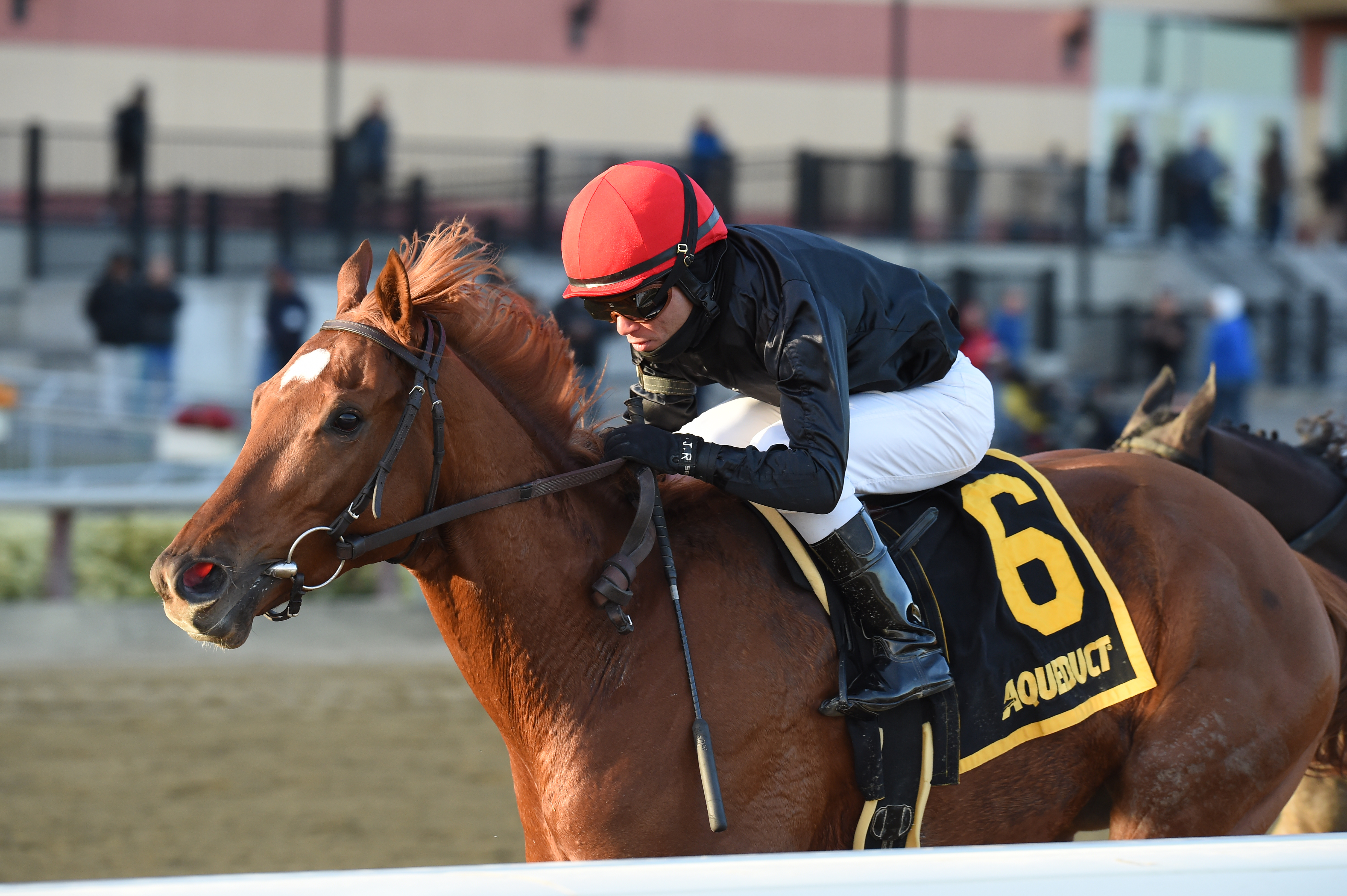 Performer wins the 2019 Discovery Stakes