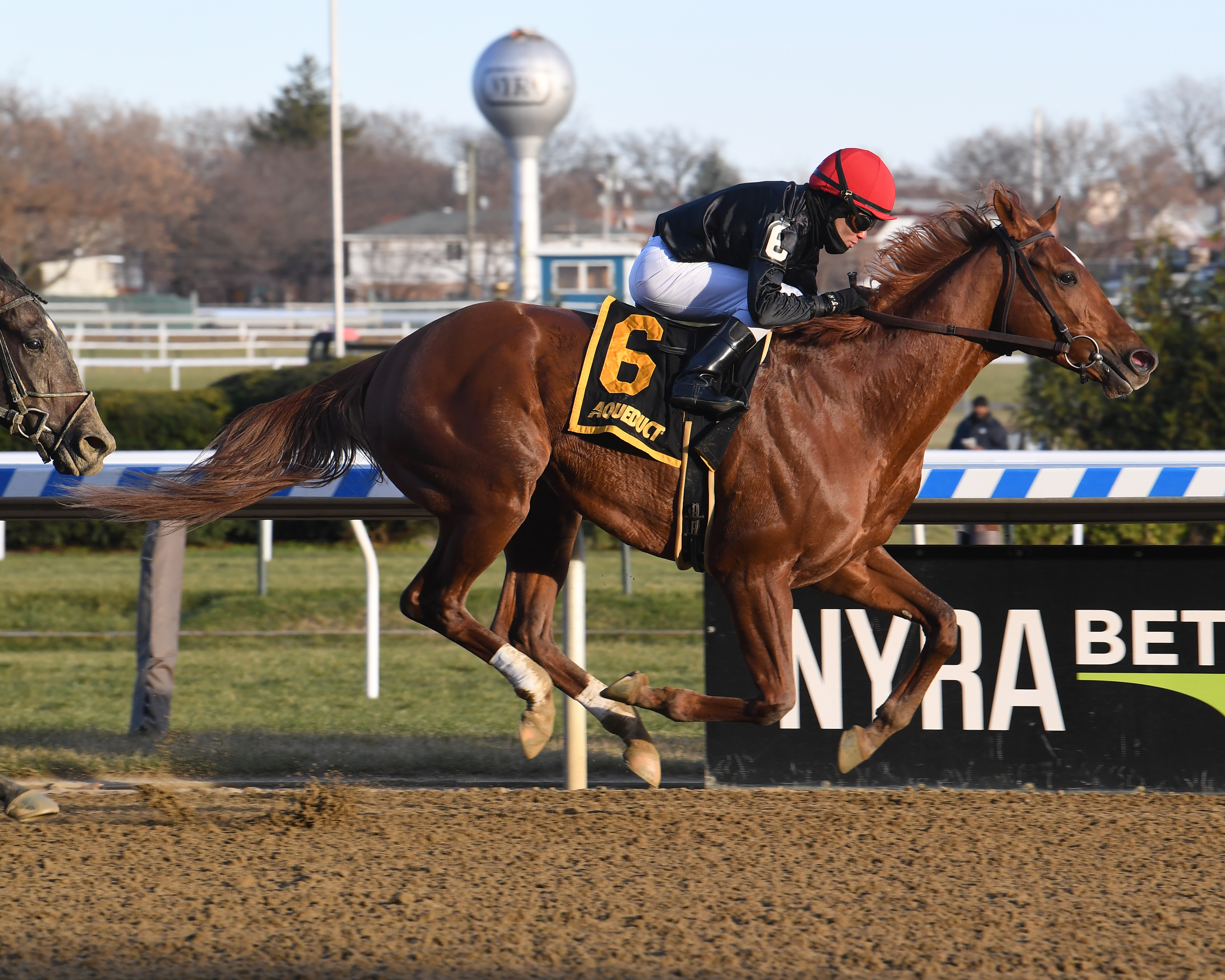 Performer wins the 2019 Discovery Stakes