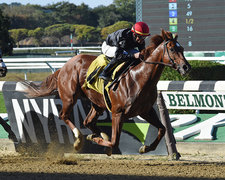 Performer wins a Sept. 29 allowance race at Belmont Park