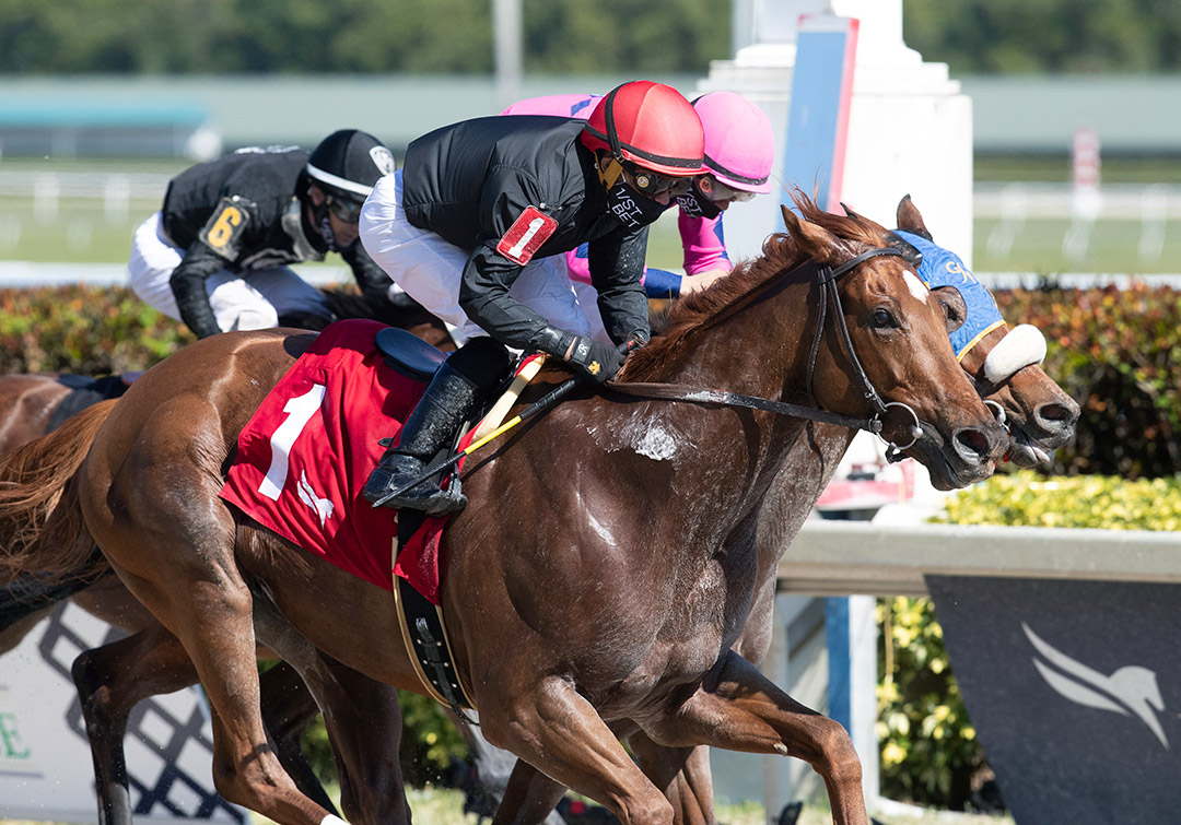Performer wins the 2021 Fred. W. Hooper Stakes at Gulfstream Park