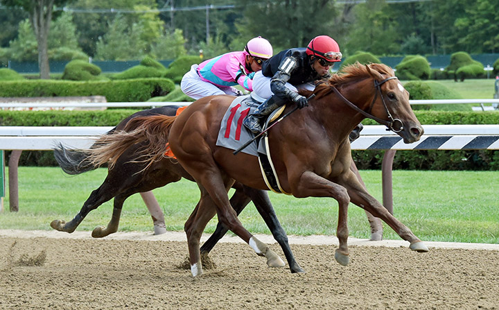 Performer wins an Aug. 24 allowance race at Saratoga Race Course