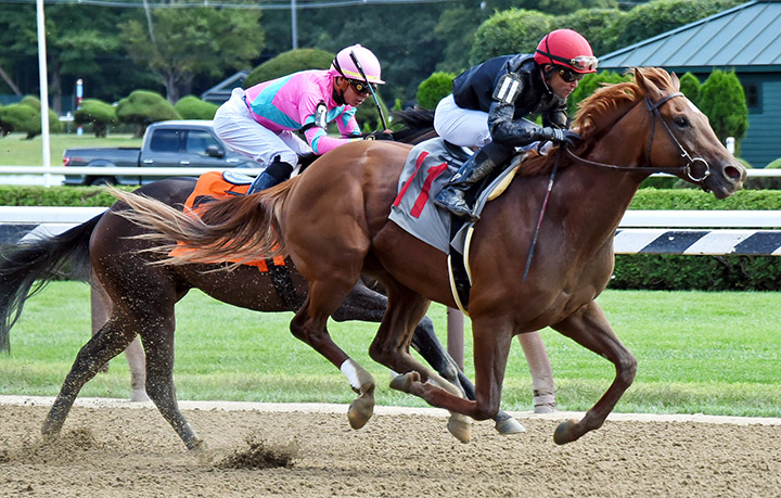 Performer wins an Aug. 24 allowance race at Saratoga Race Course