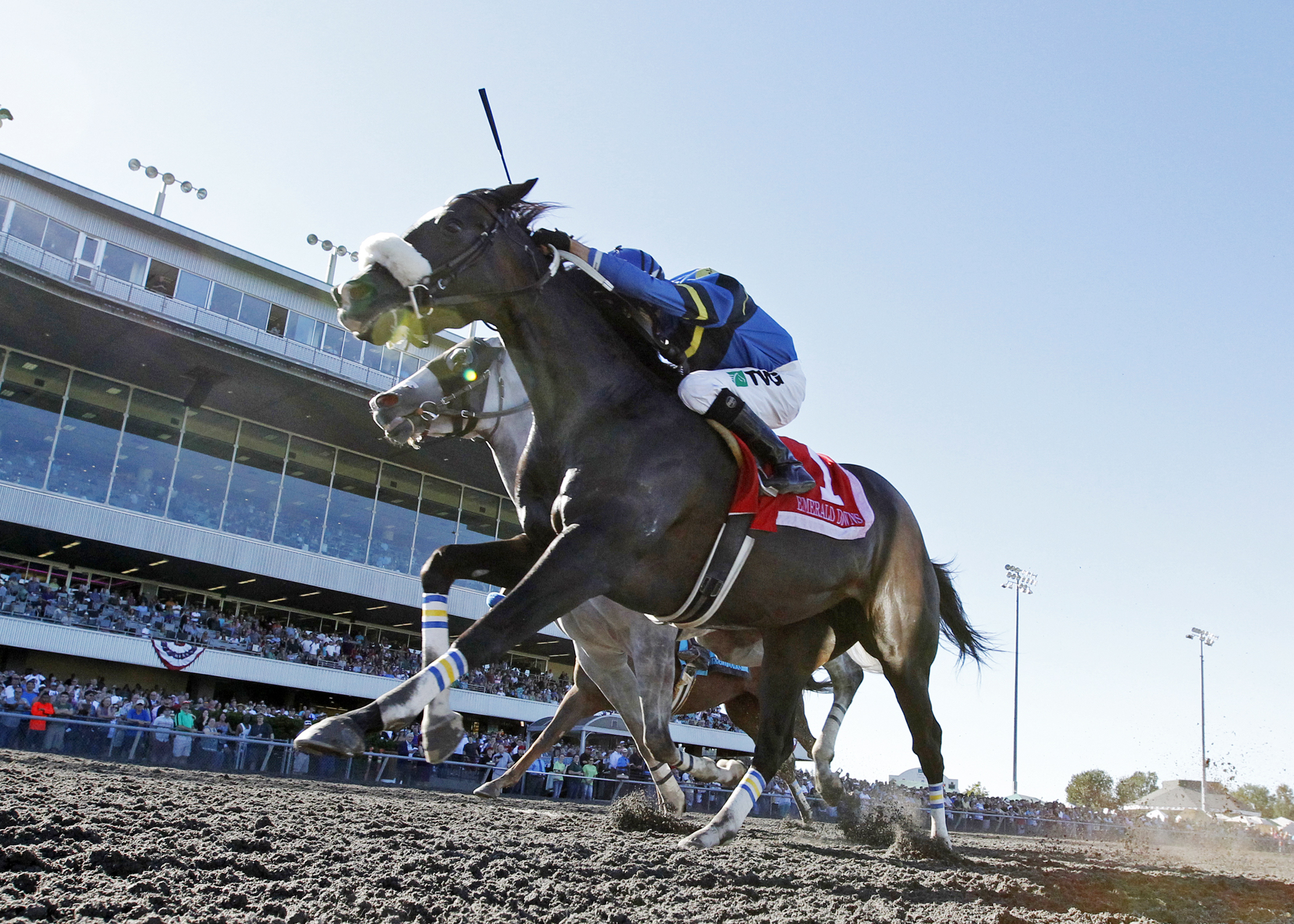 Perhaps a Pie wins the Emerald Distaff Handicap