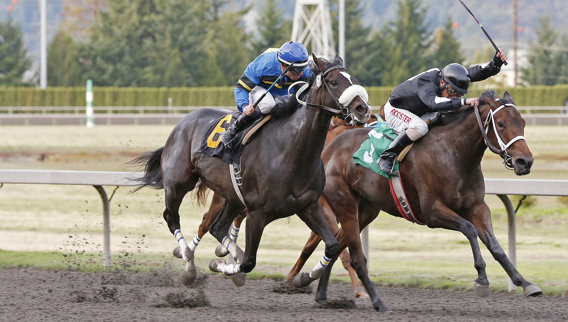 Perhaps a Pie wins an allowance race