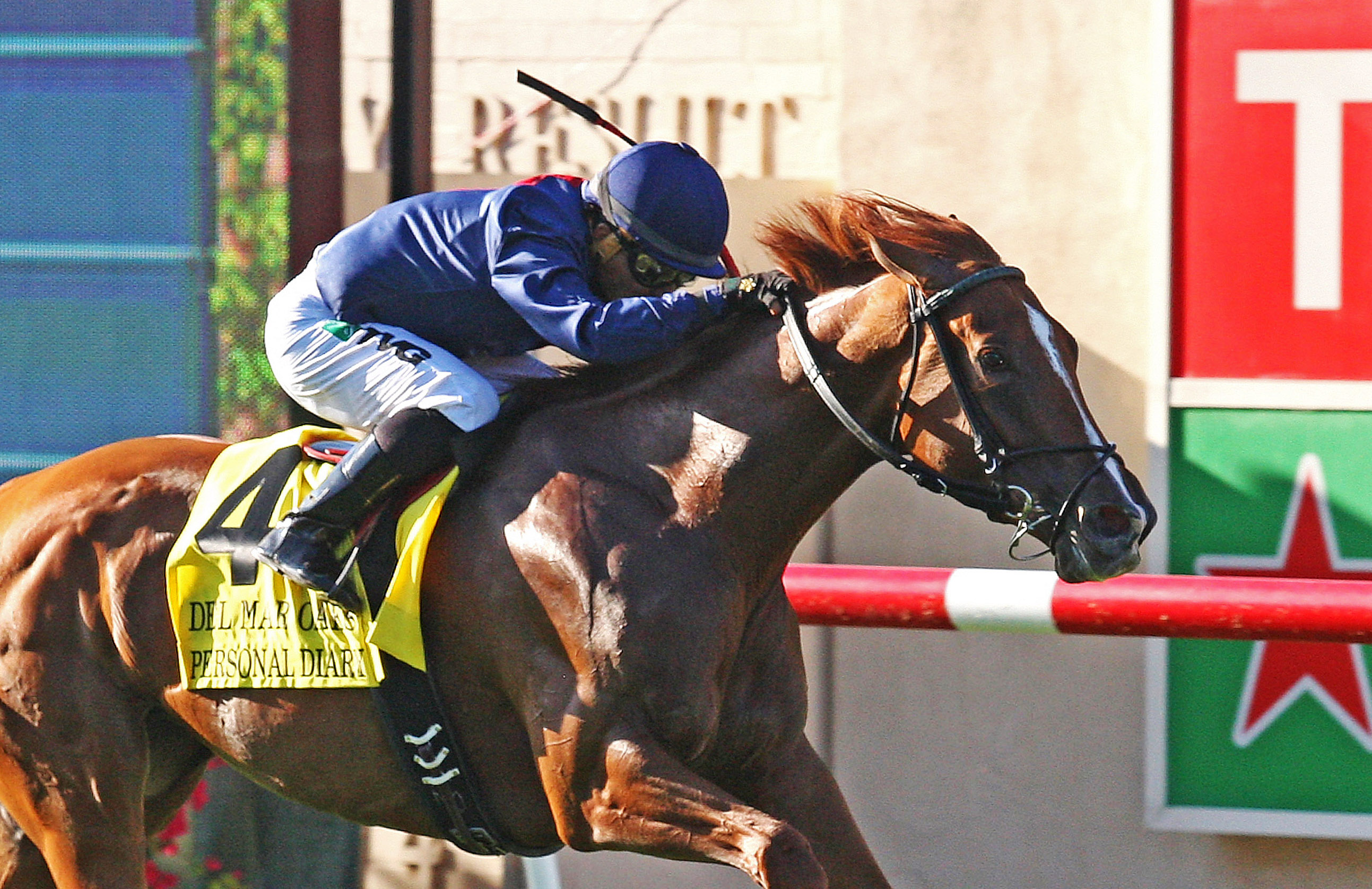 Personal Diary wins the 2014 Del Mar Oaks