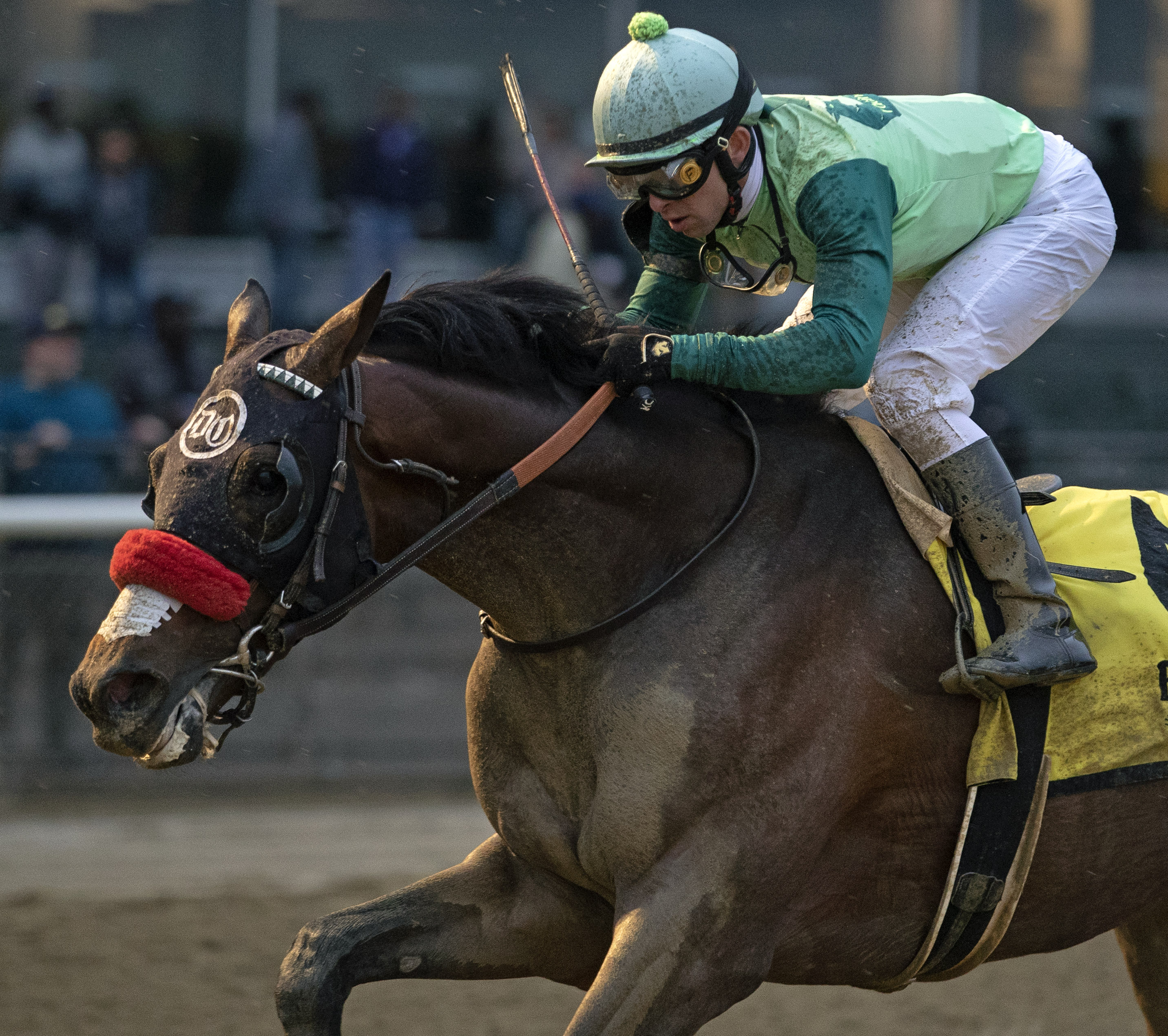 Blended Citizen wins 2018 Peter Pan
