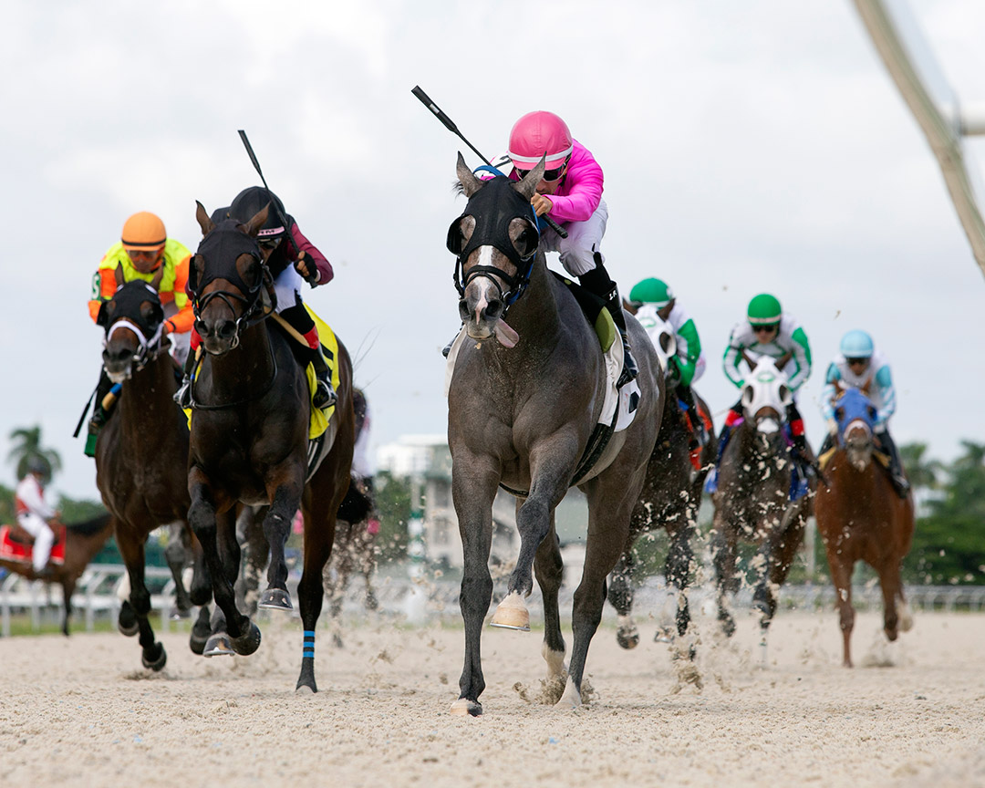 Peter D wins the 2021 Journeyman Stud Juvenile Stakes at Gulfstream Park