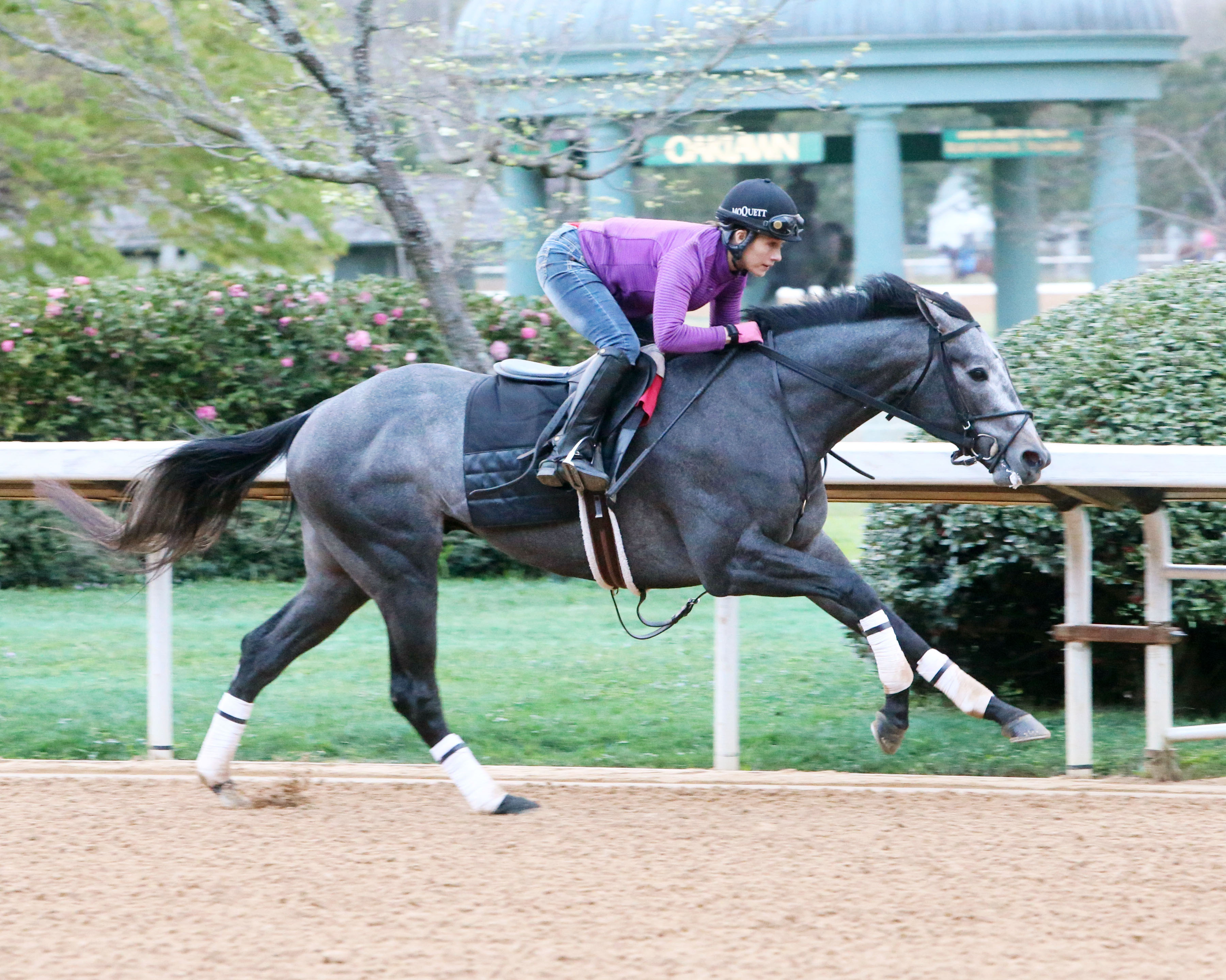 Petrov trains at Oaklawn on March 10