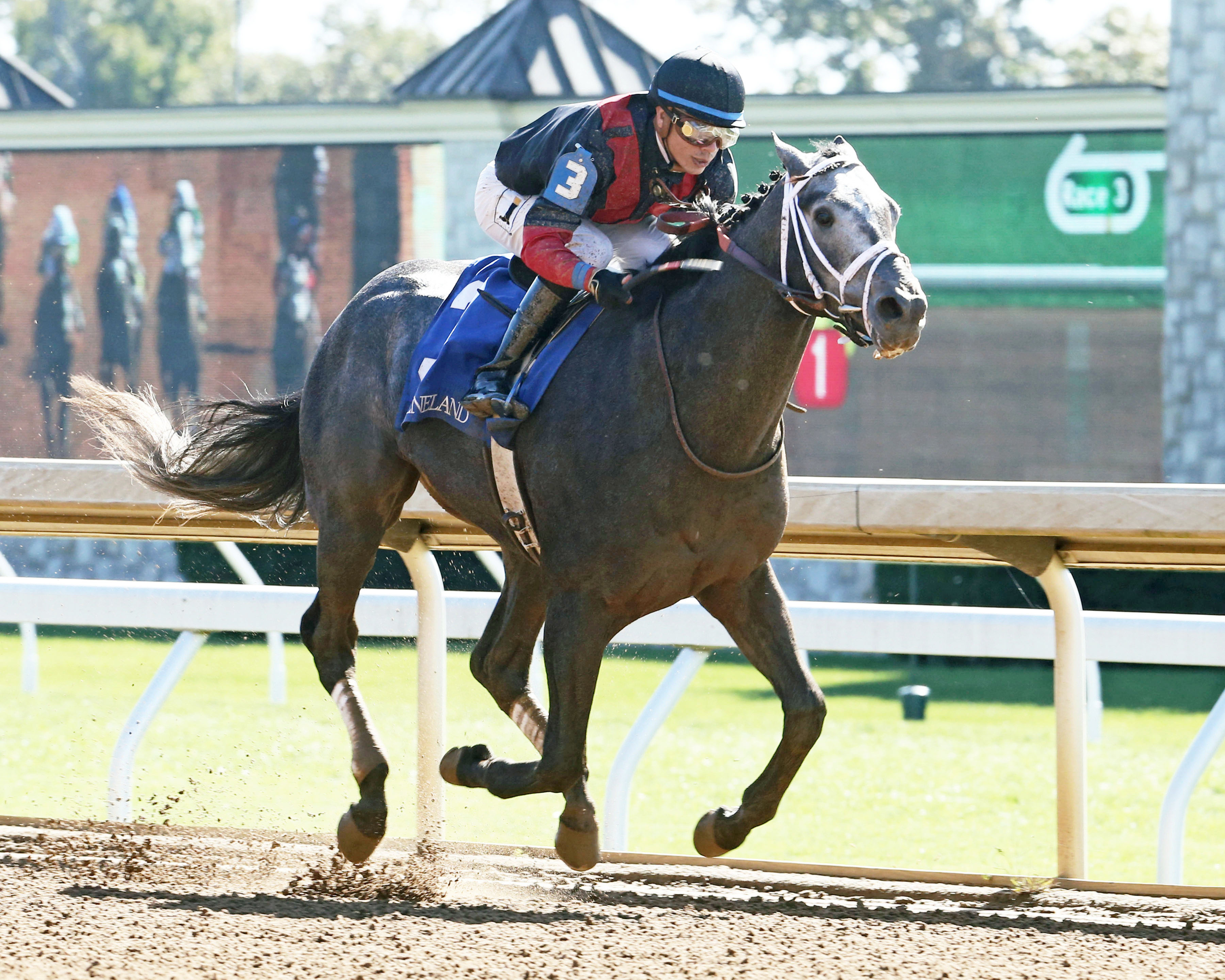 Petrov wins an Oct. 18 allowance race
