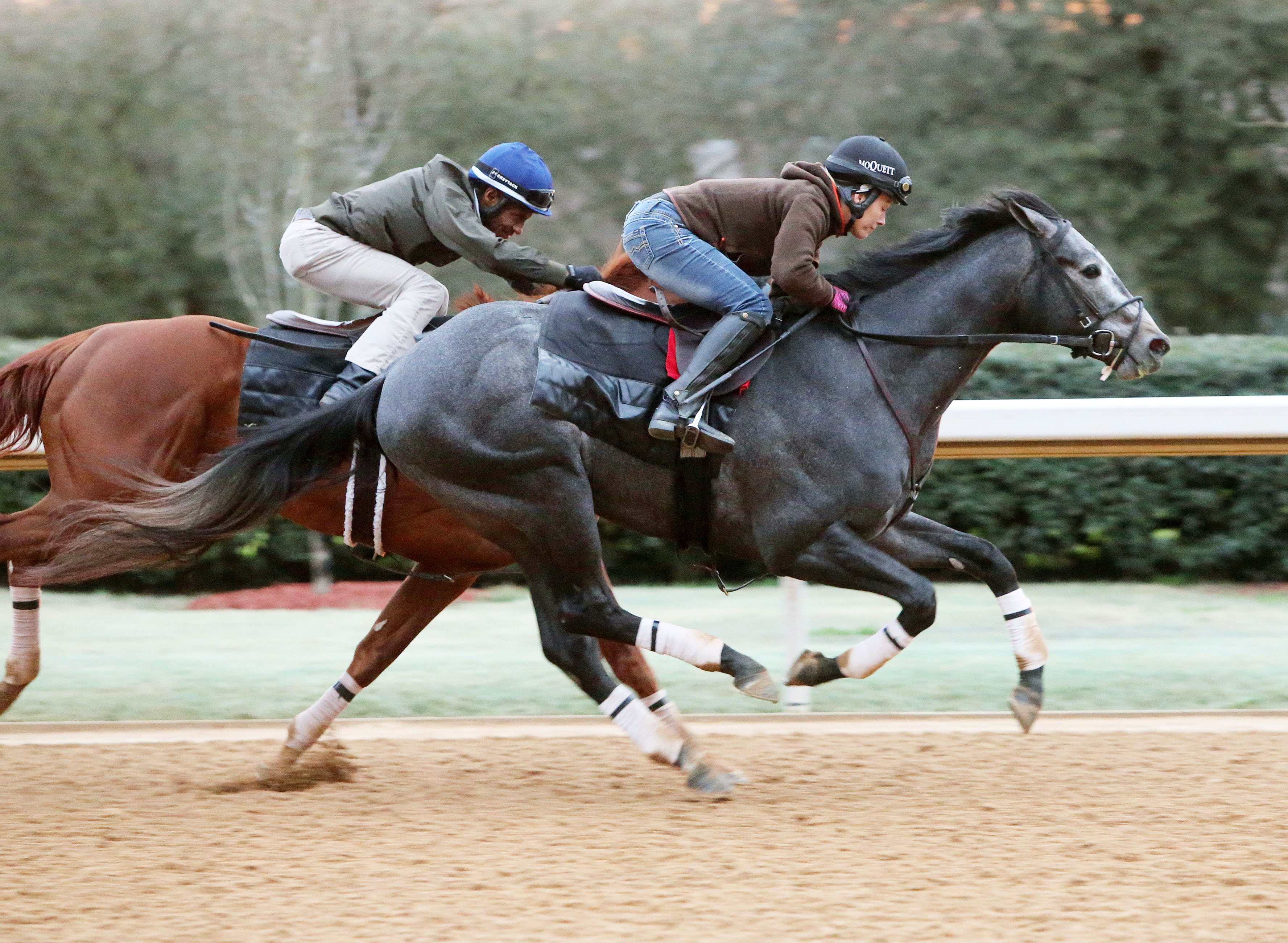 Petrov trains at Oaklawn on Feb. 13
