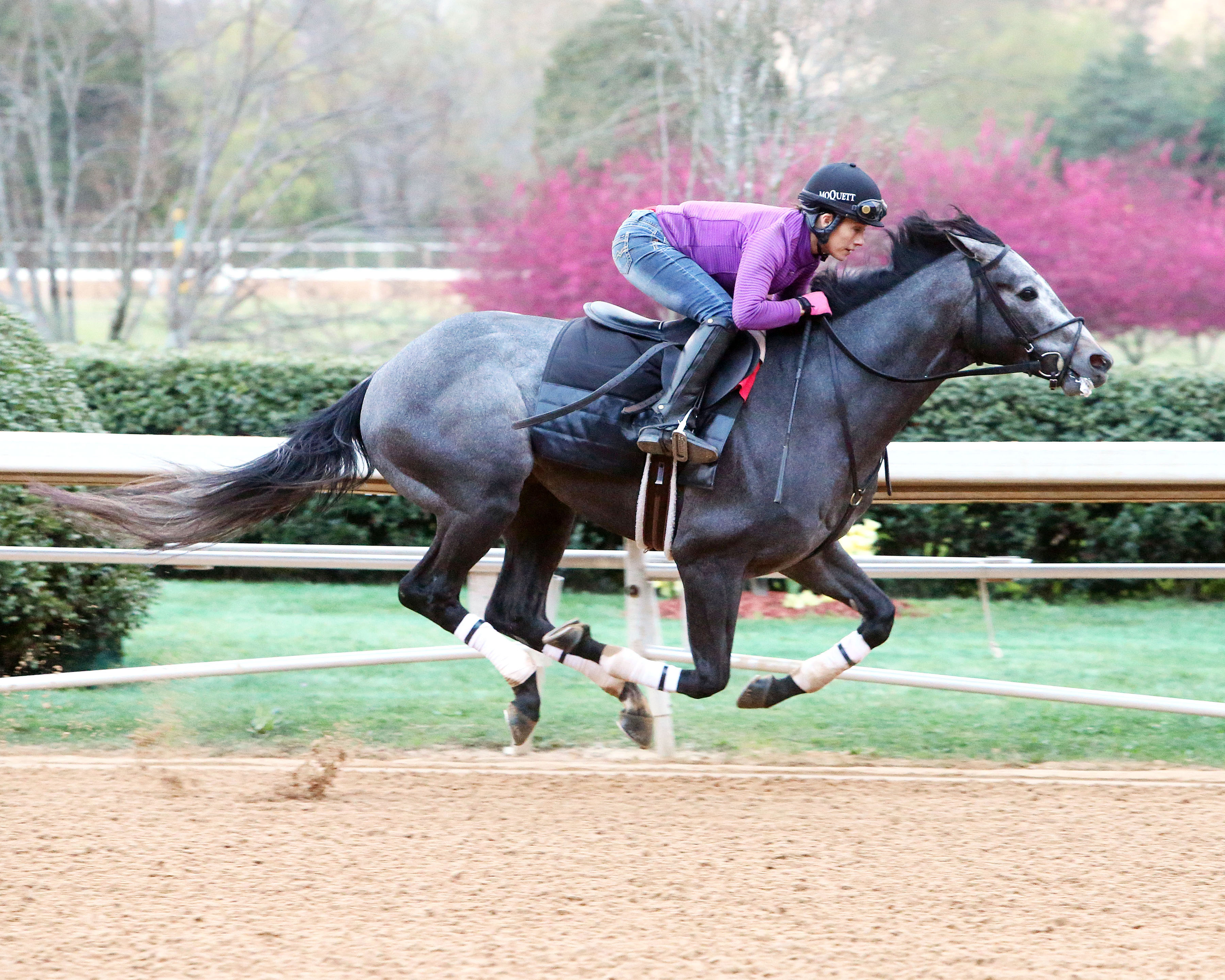 Petrov trains at Oaklawn on March 10
