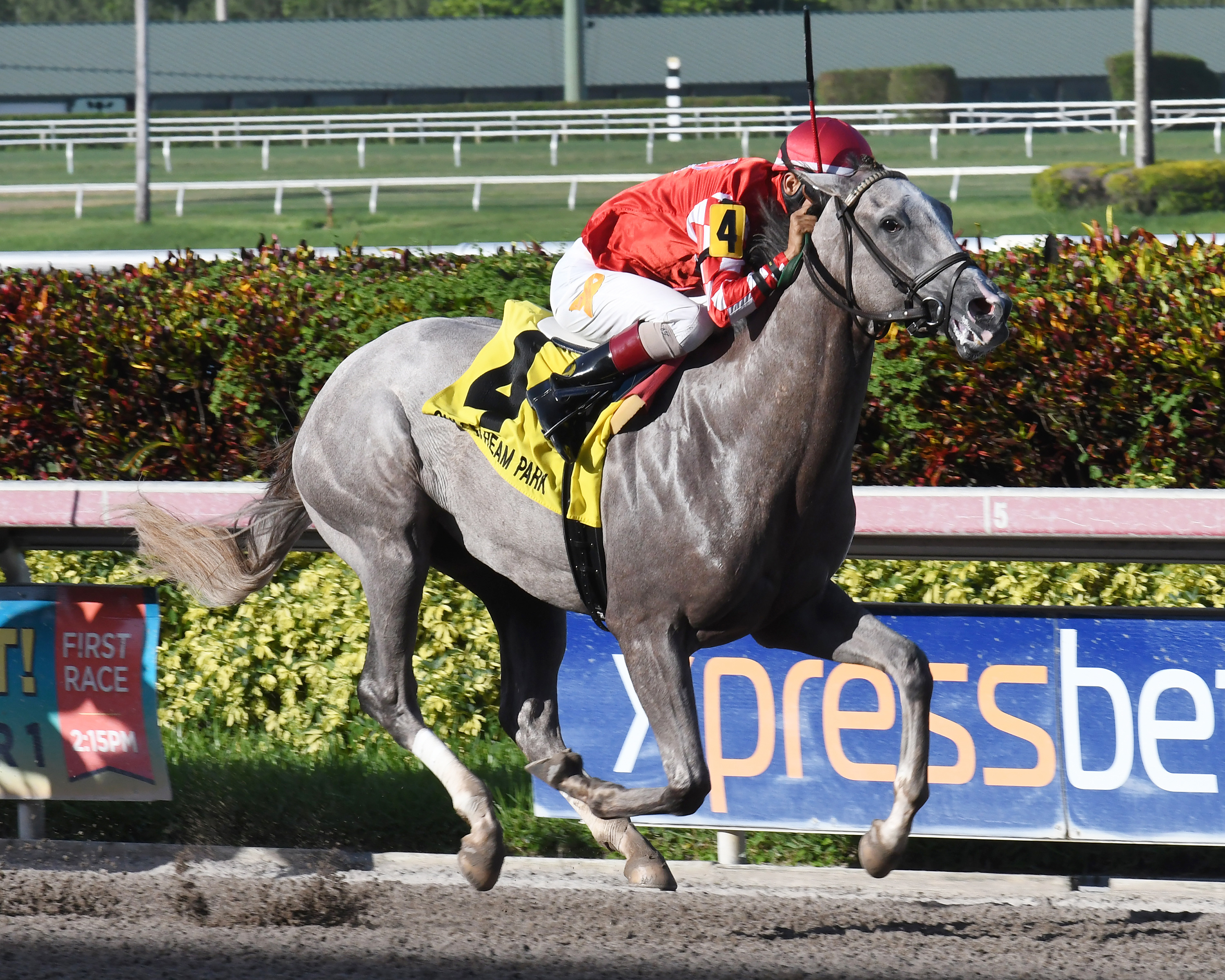 Phantom Ro wins the 2017 Dr. Fager Stakes