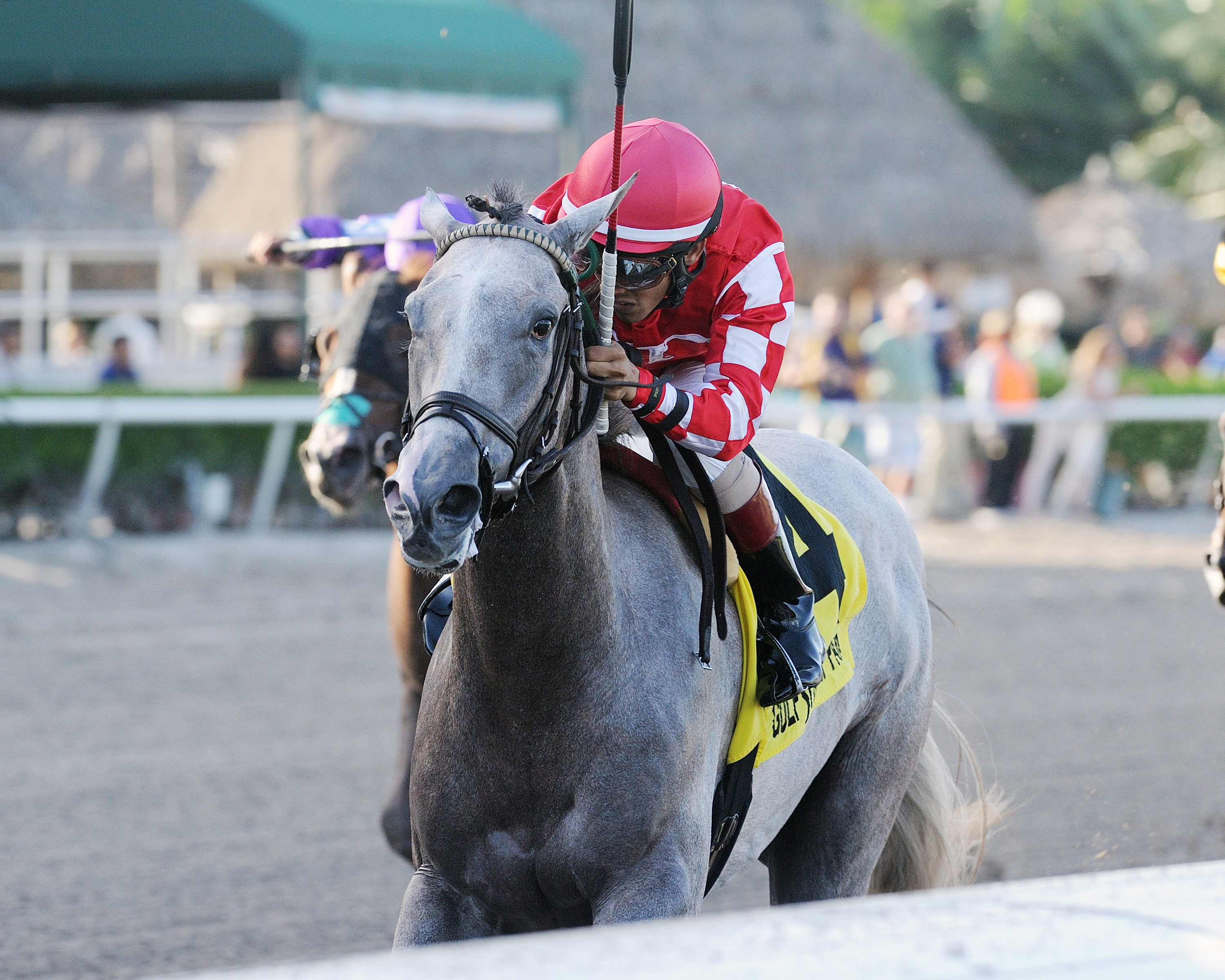 Phantom Ro wins the 2017 Dr. Fager Stakes