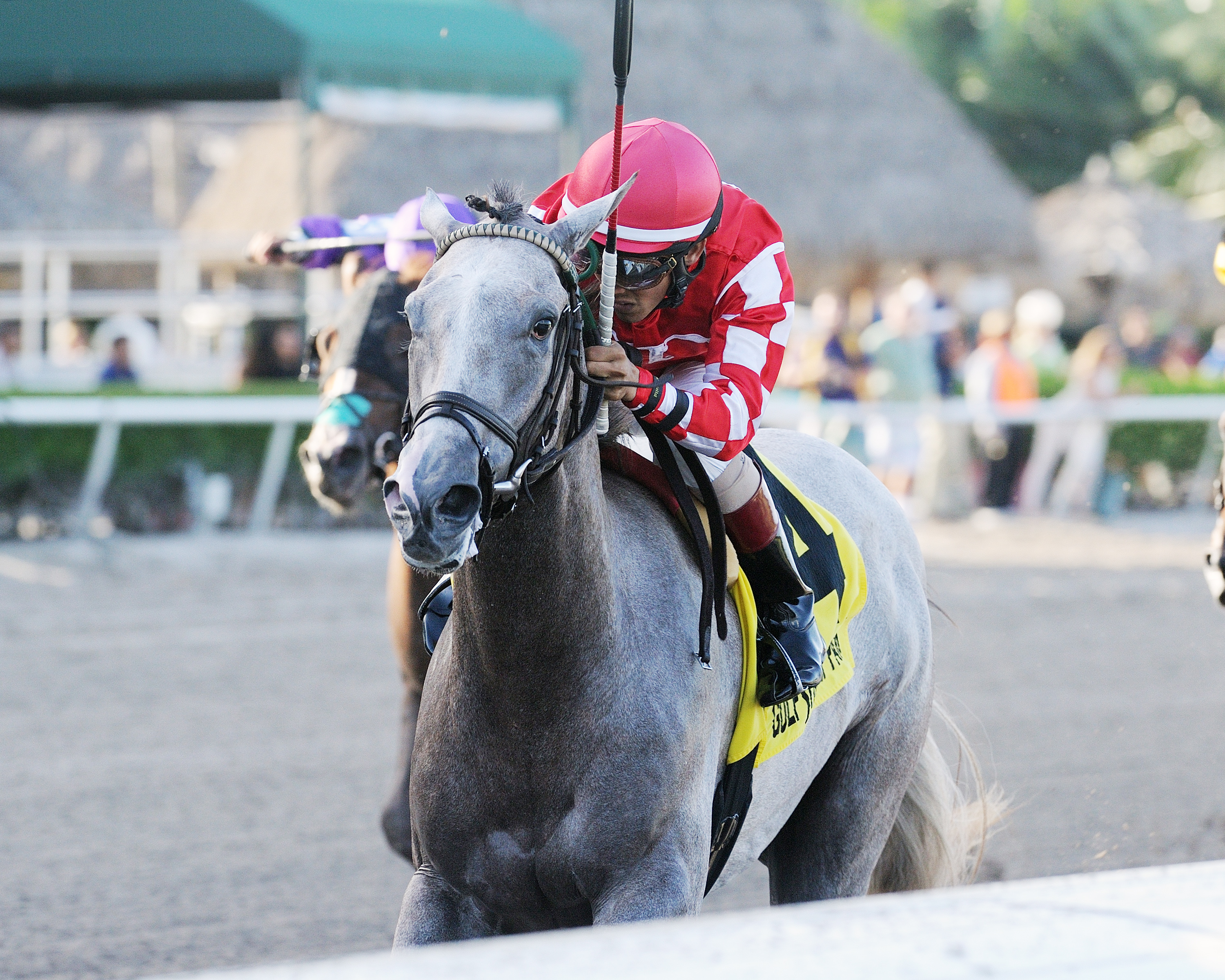 Phantom Ro wins the 2017 Dr. Fager Stakes