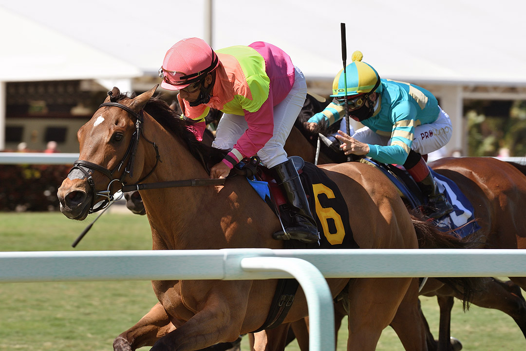 Phantom Currency wins the 2021 Mac Diarmida Stakes at Gulfstream Park