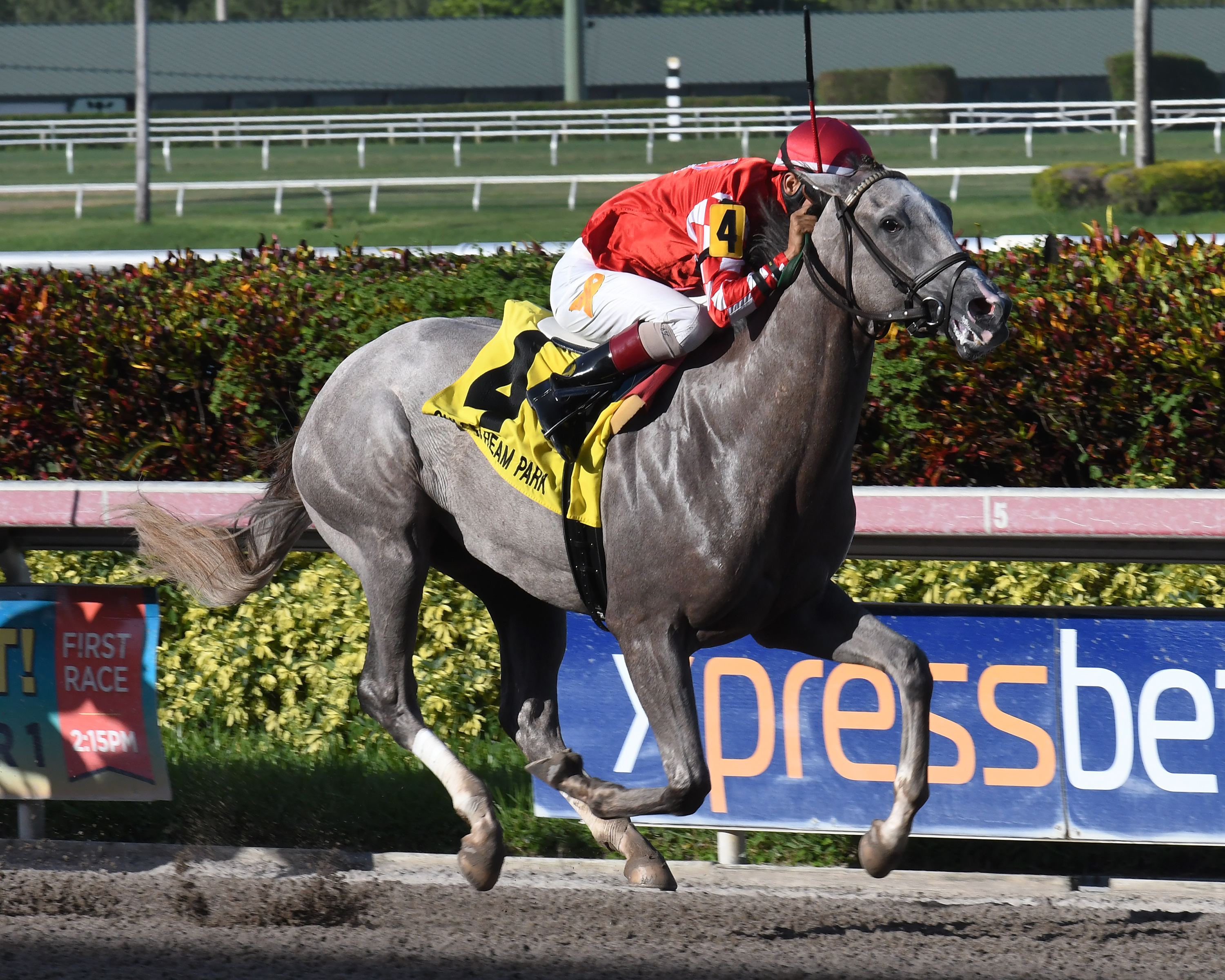Phantom Ro wins the Dr. Fager Stakes at Gulfstream Park 8.5.17_LK