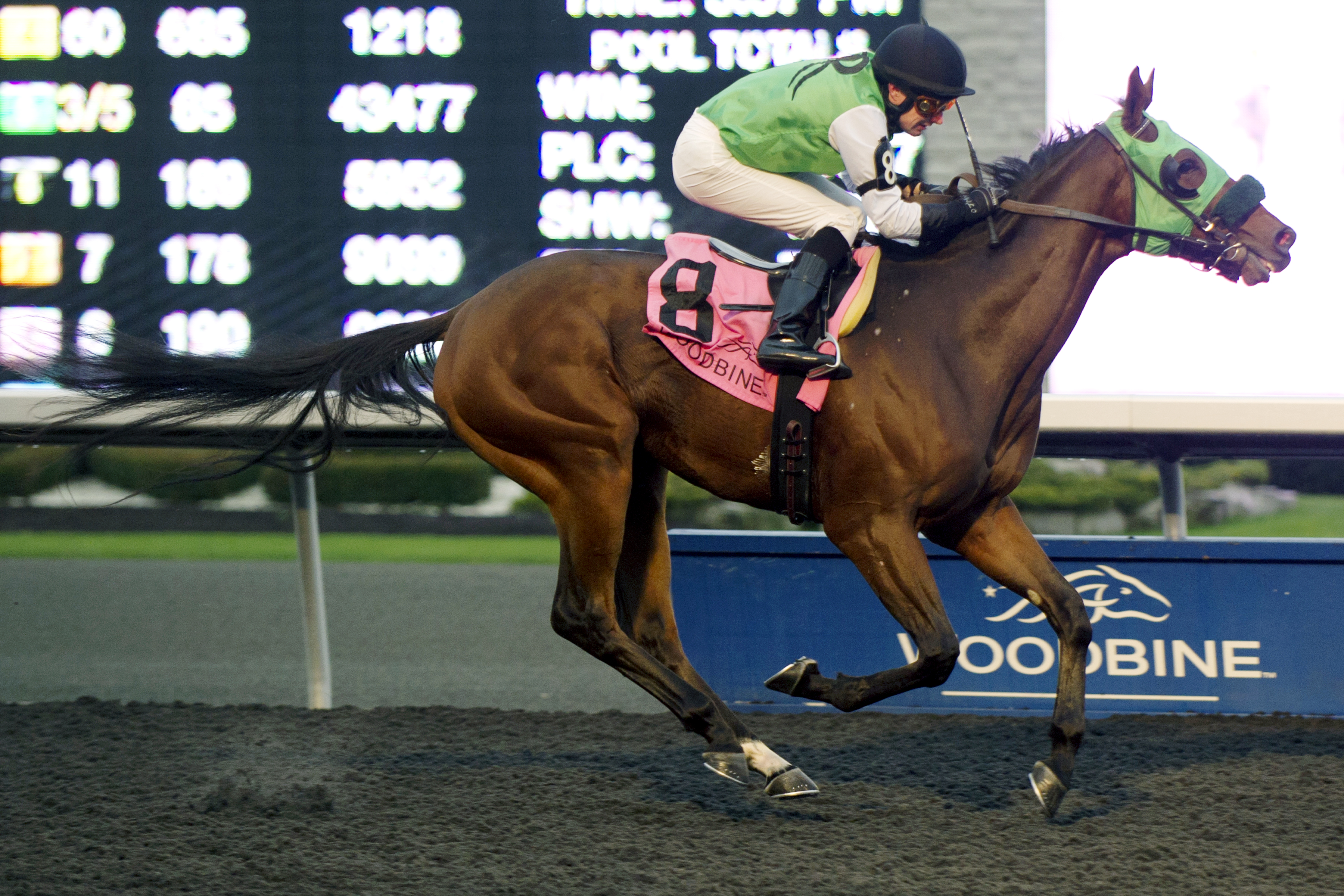 Phil's Cocktail wins the Frost King