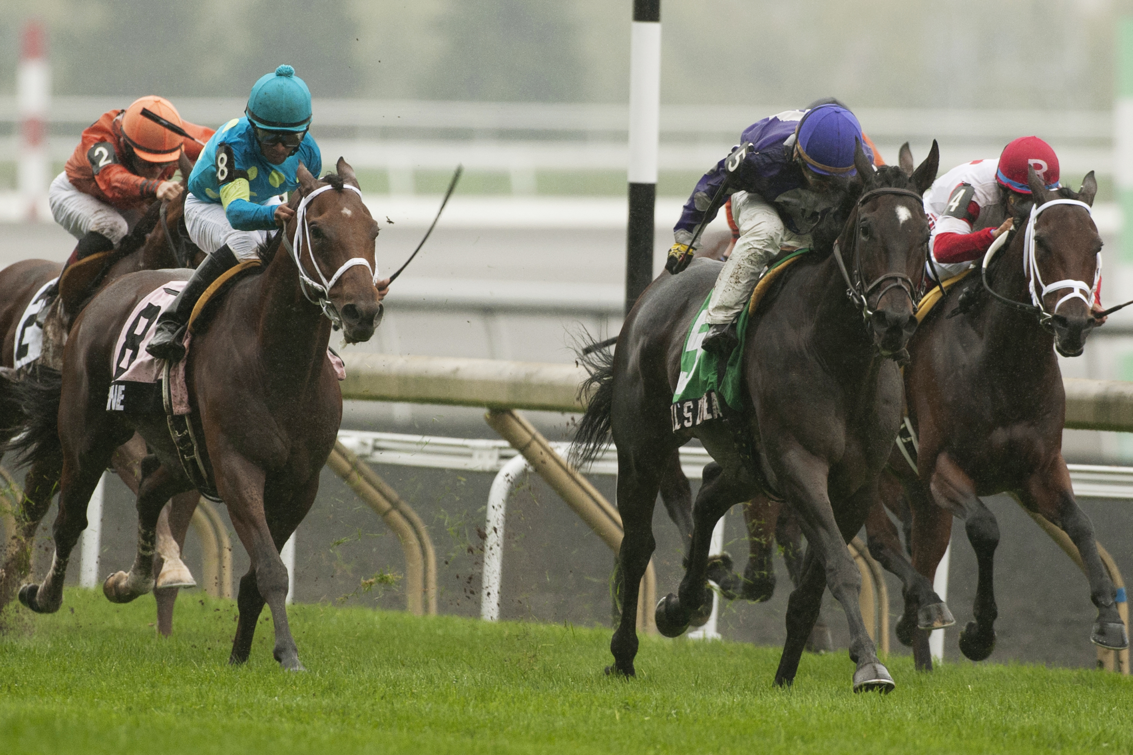 Phil's Dream wins the 2013 Nearctic Stakes