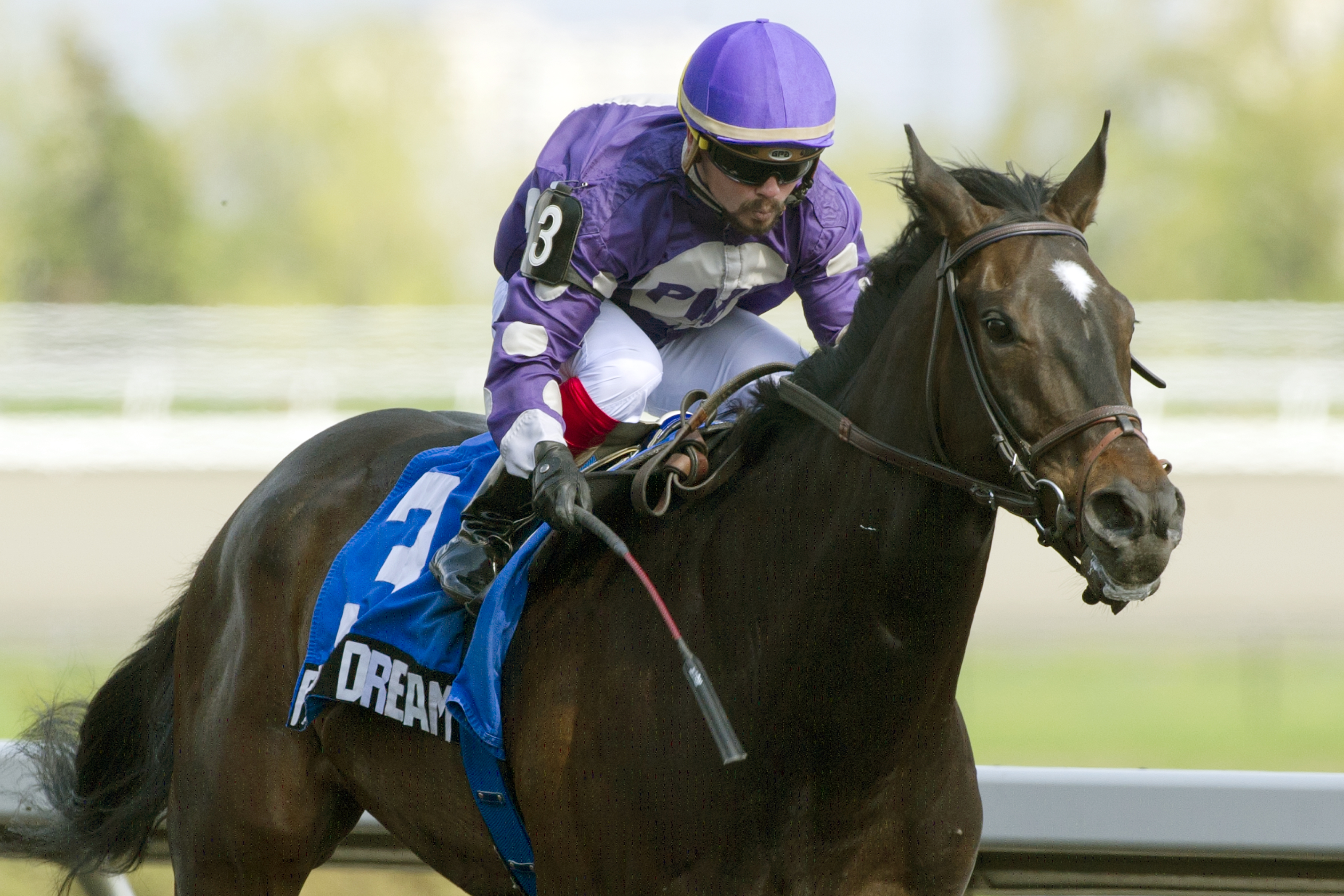 Phil's Dream wins the New Providence Stakes