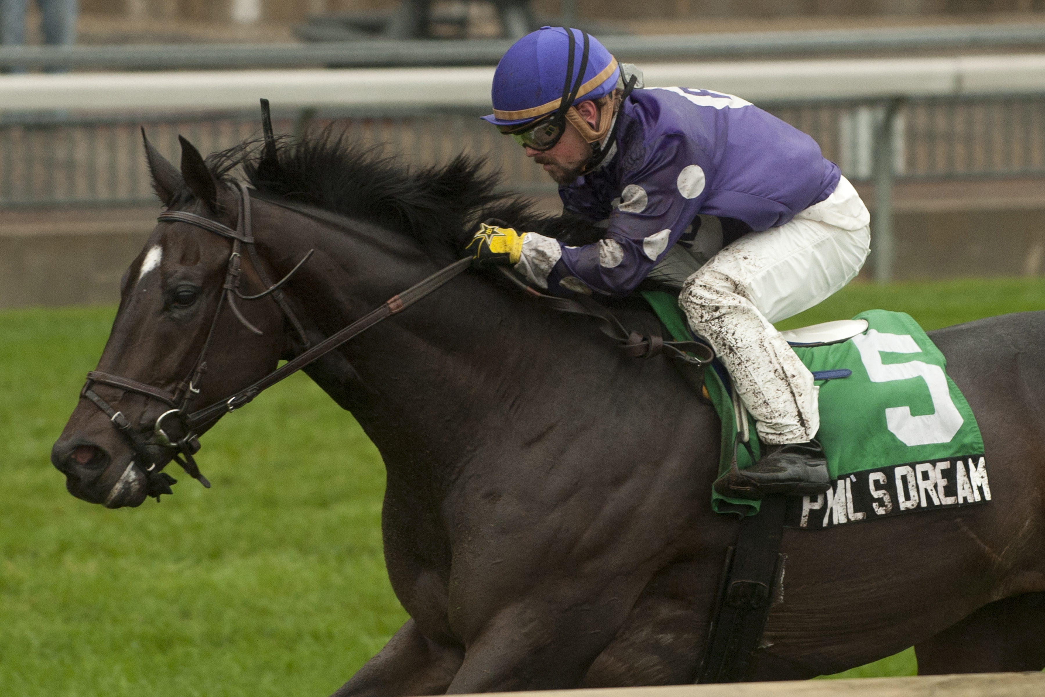 Phil's Dream wins the Nearctic Stakes