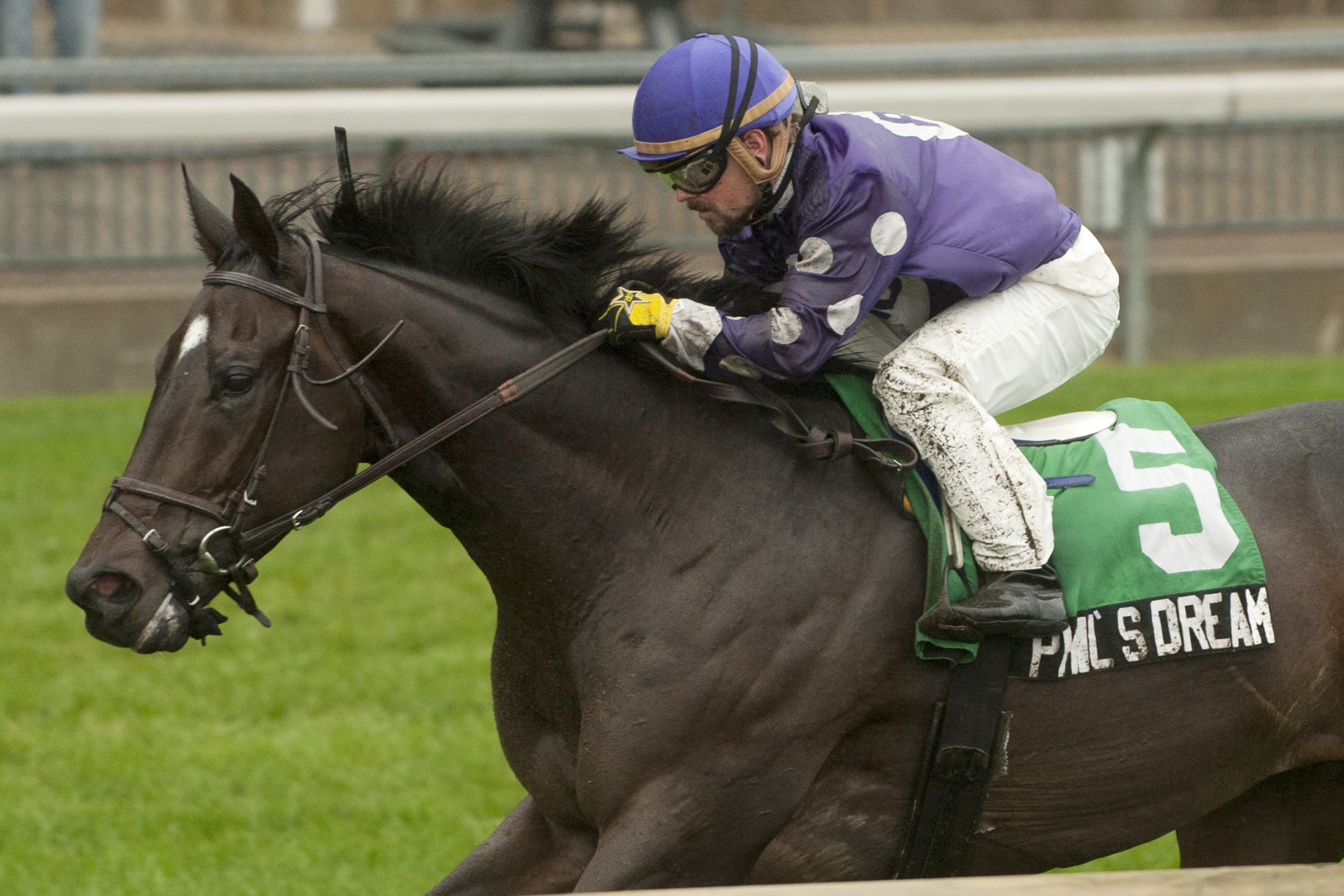 Phil's Dream wins the 2013 Nearctic Stakes