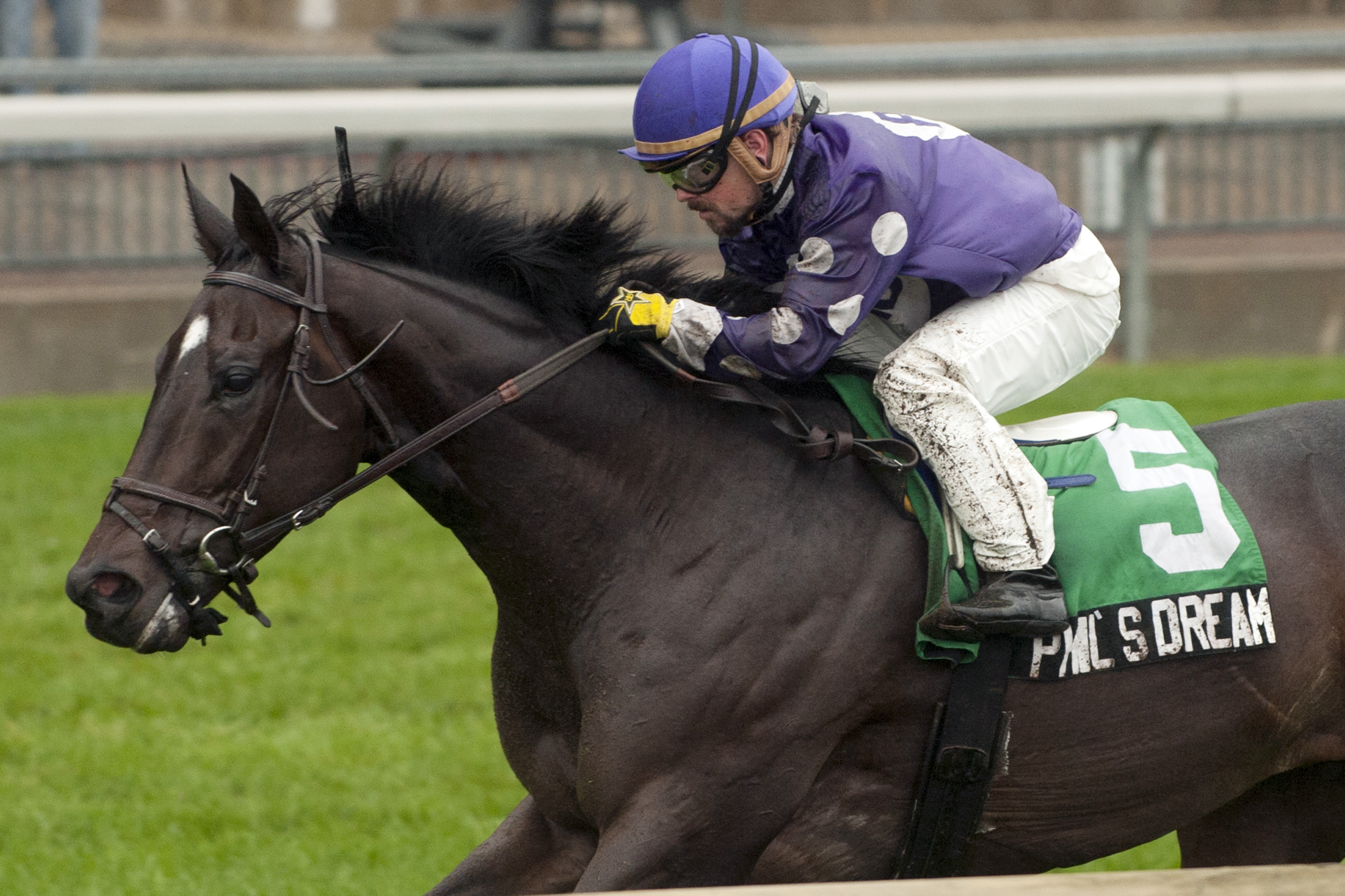 Phil's Dream wins the 2013 Nearctic Stakes