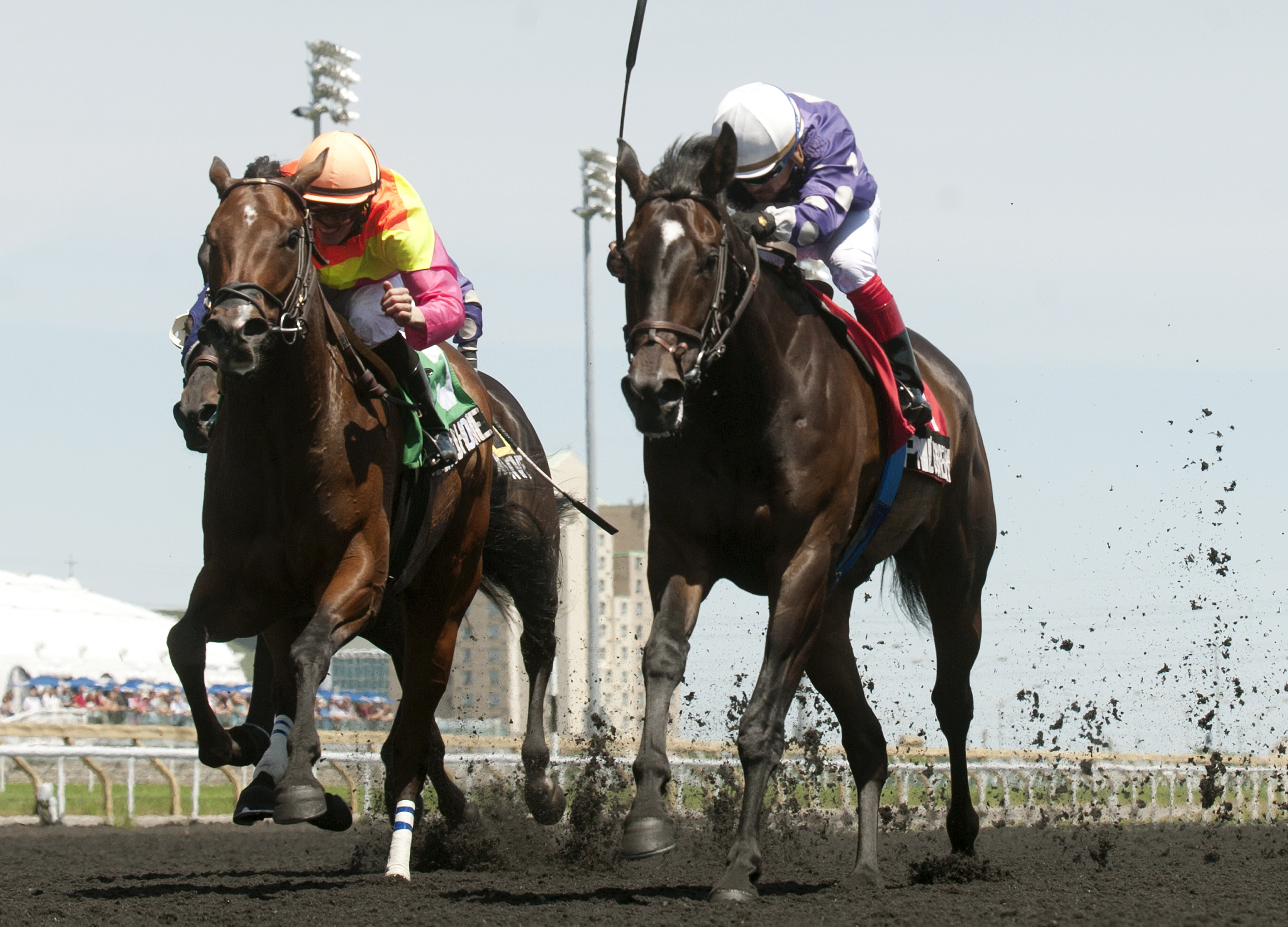 Phil's Dream wins the Ontario Jockey Club Stakes